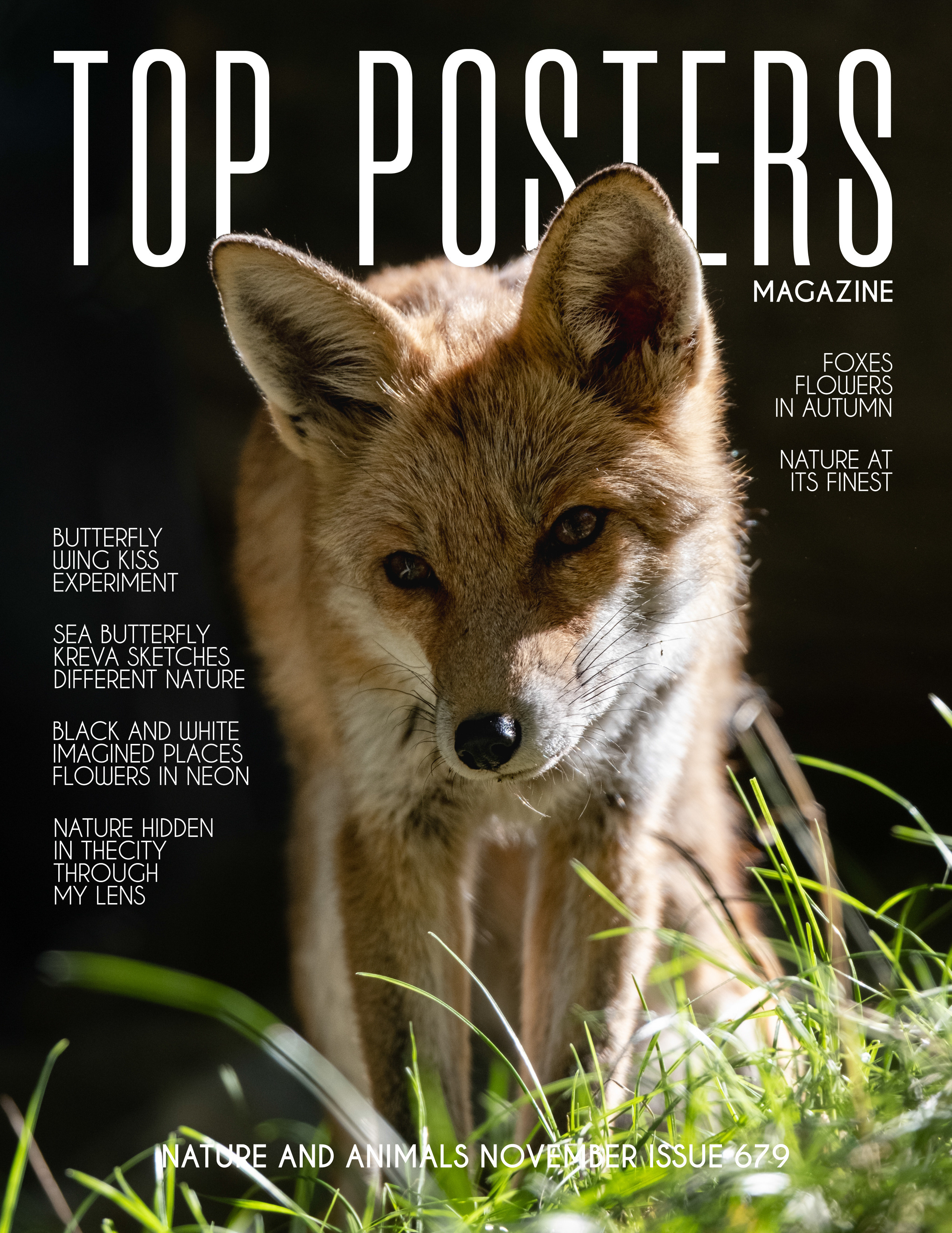 Такая разная природа. Фотограф