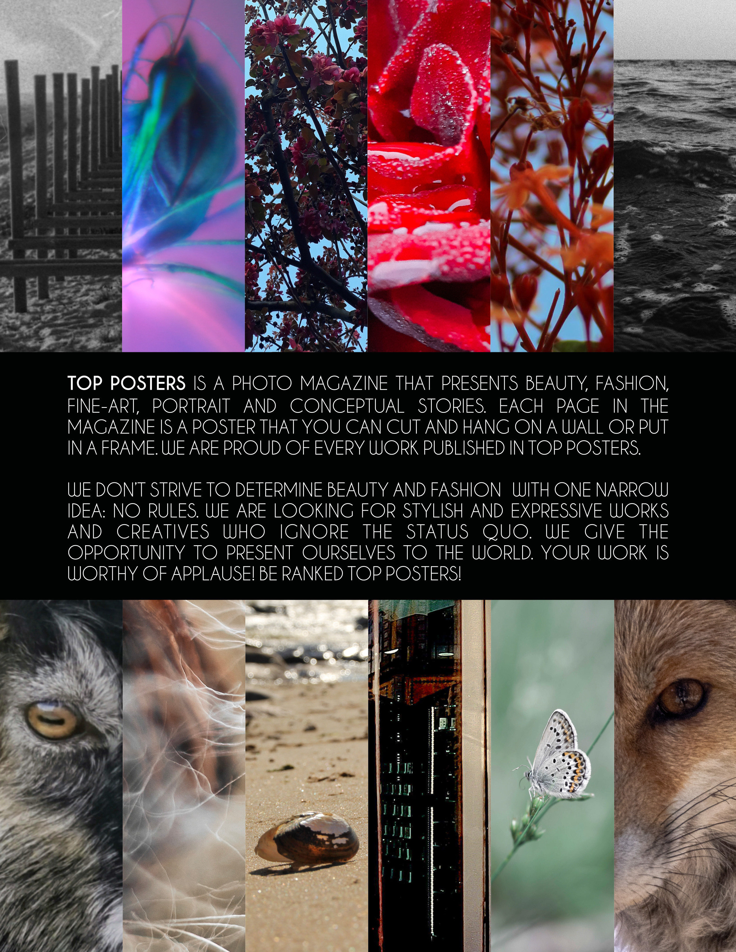 Такая разная природа. Фотограф