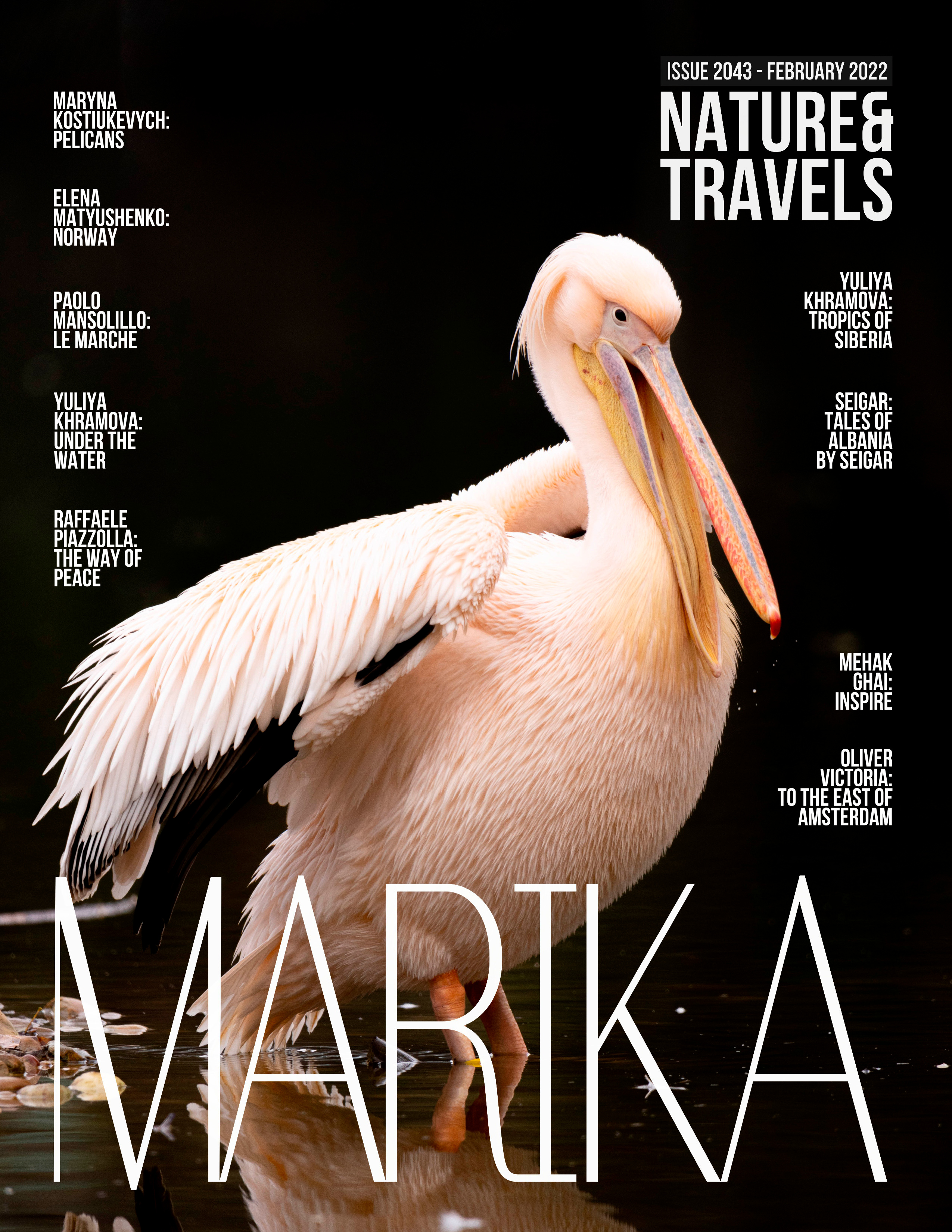 Подводный мир. Фотограф