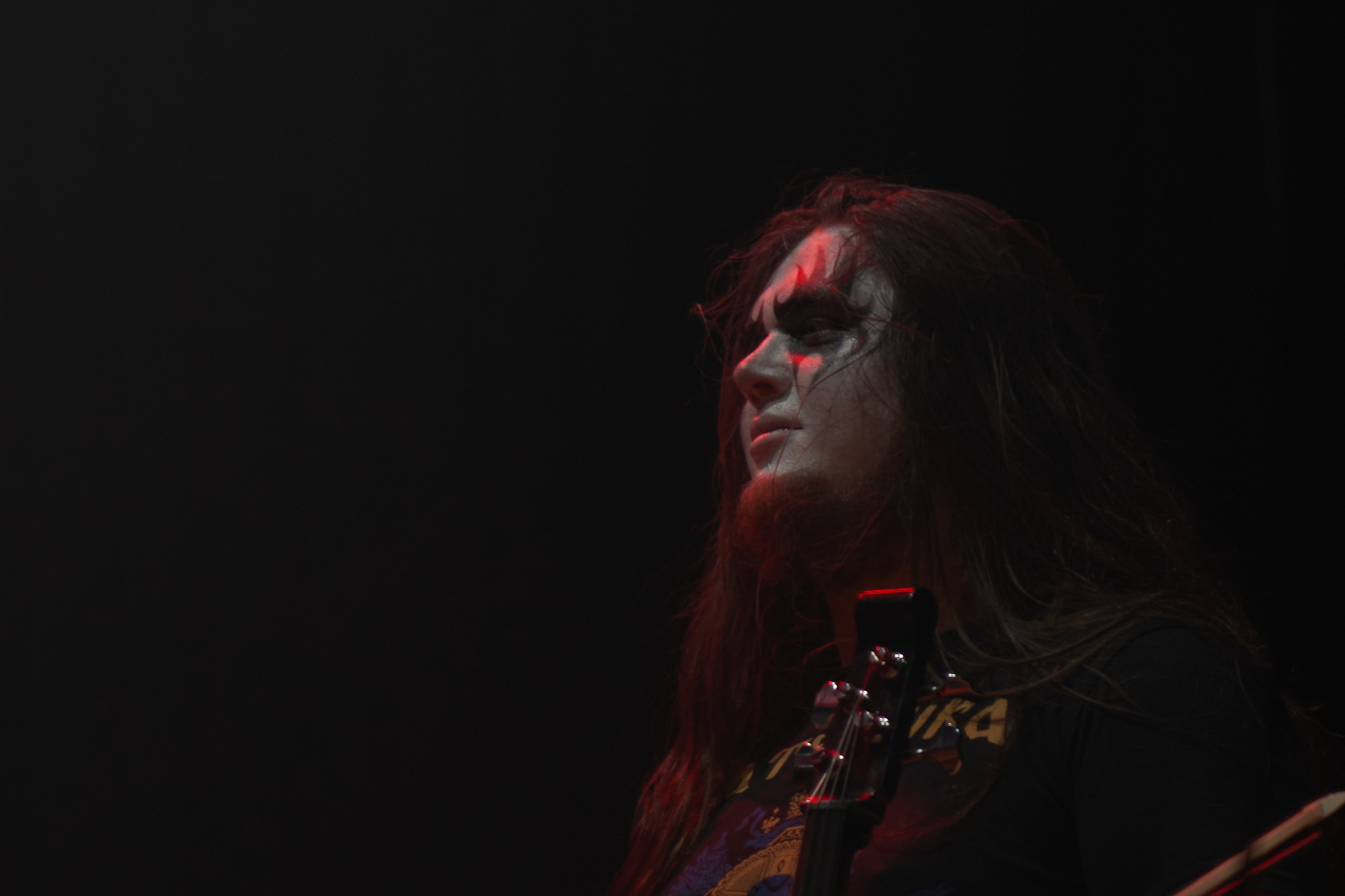 Premier orchestra. Фотограф