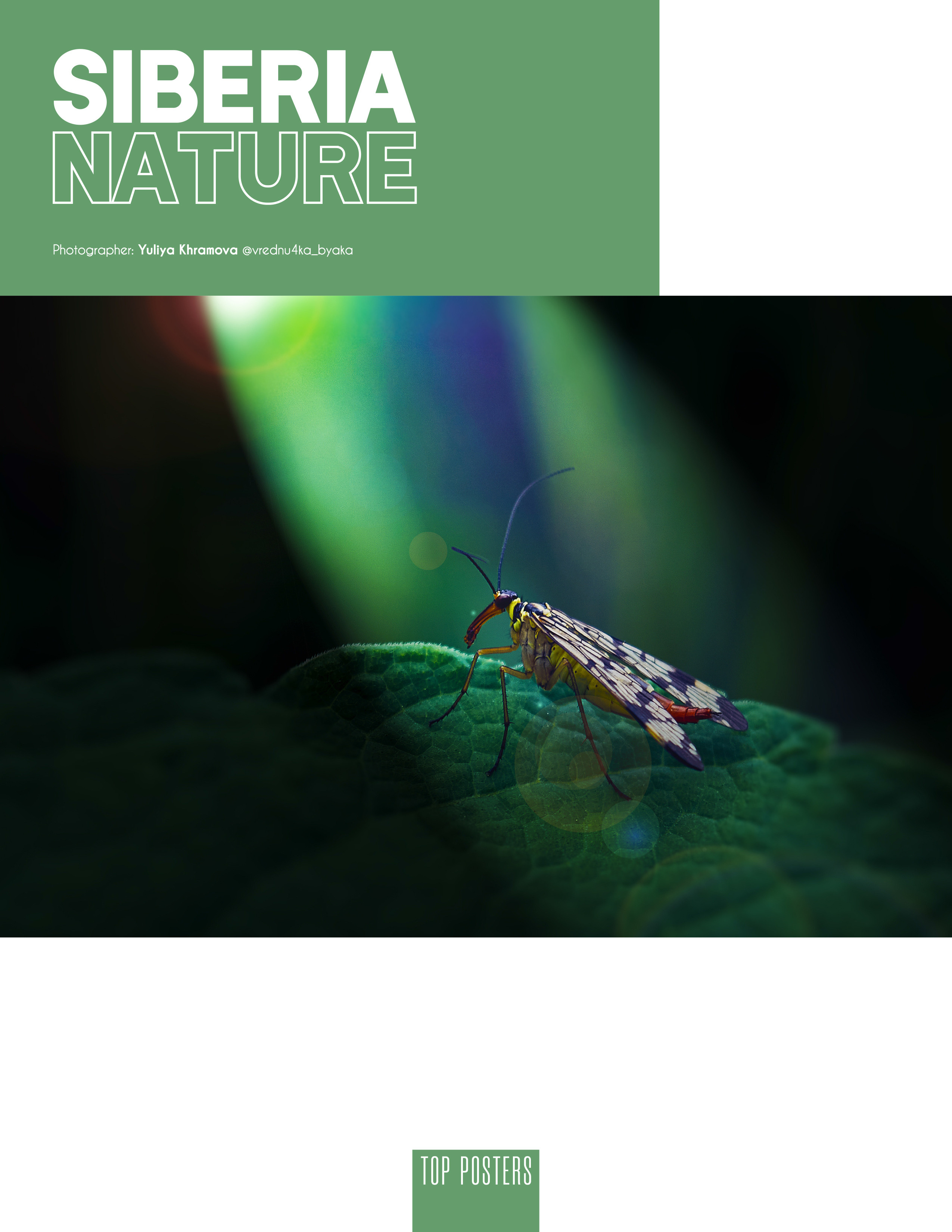 Siberia nature. Фотограф