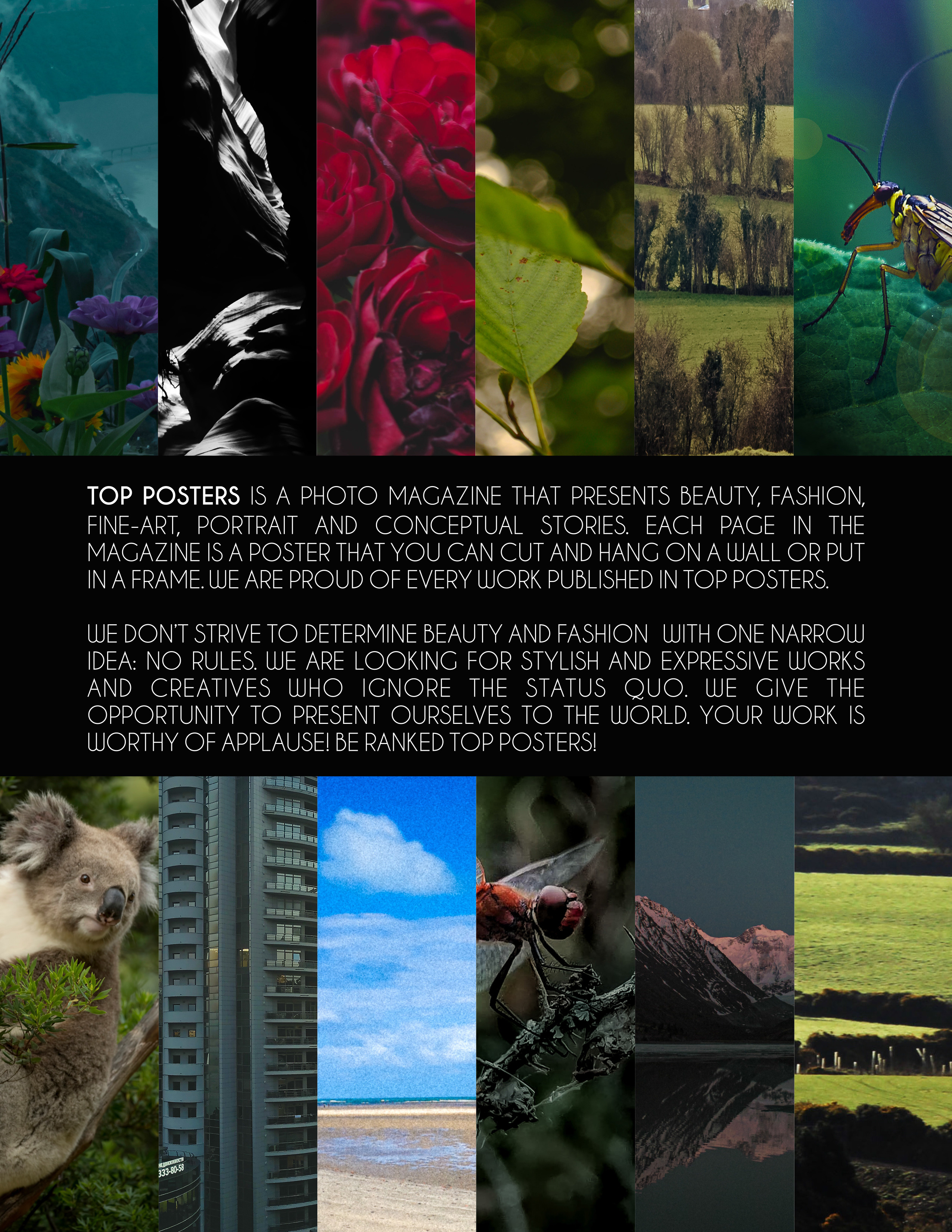 Siberia nature. Фотограф