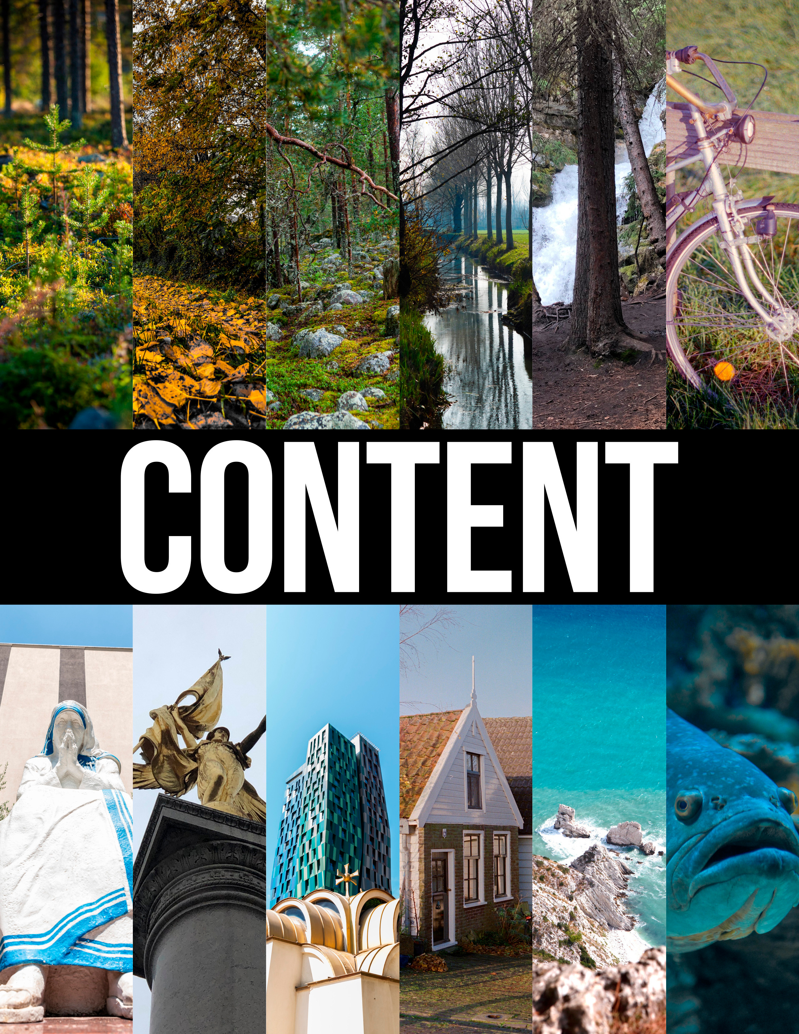 Подводный мир. Фотограф