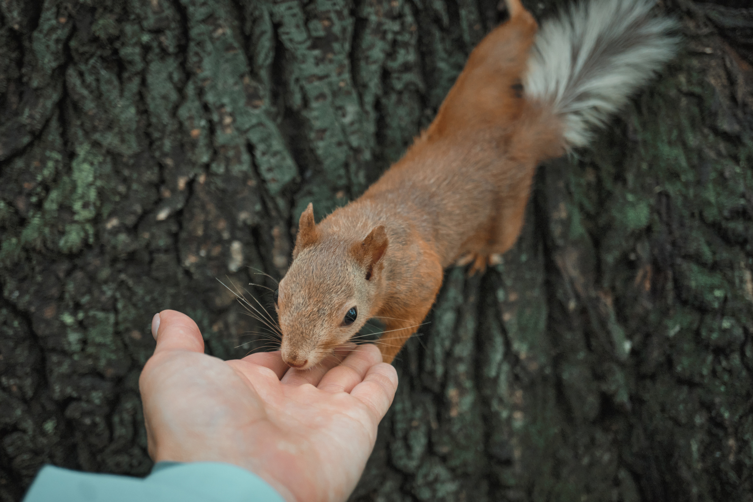 Родники Томска. Фотограф