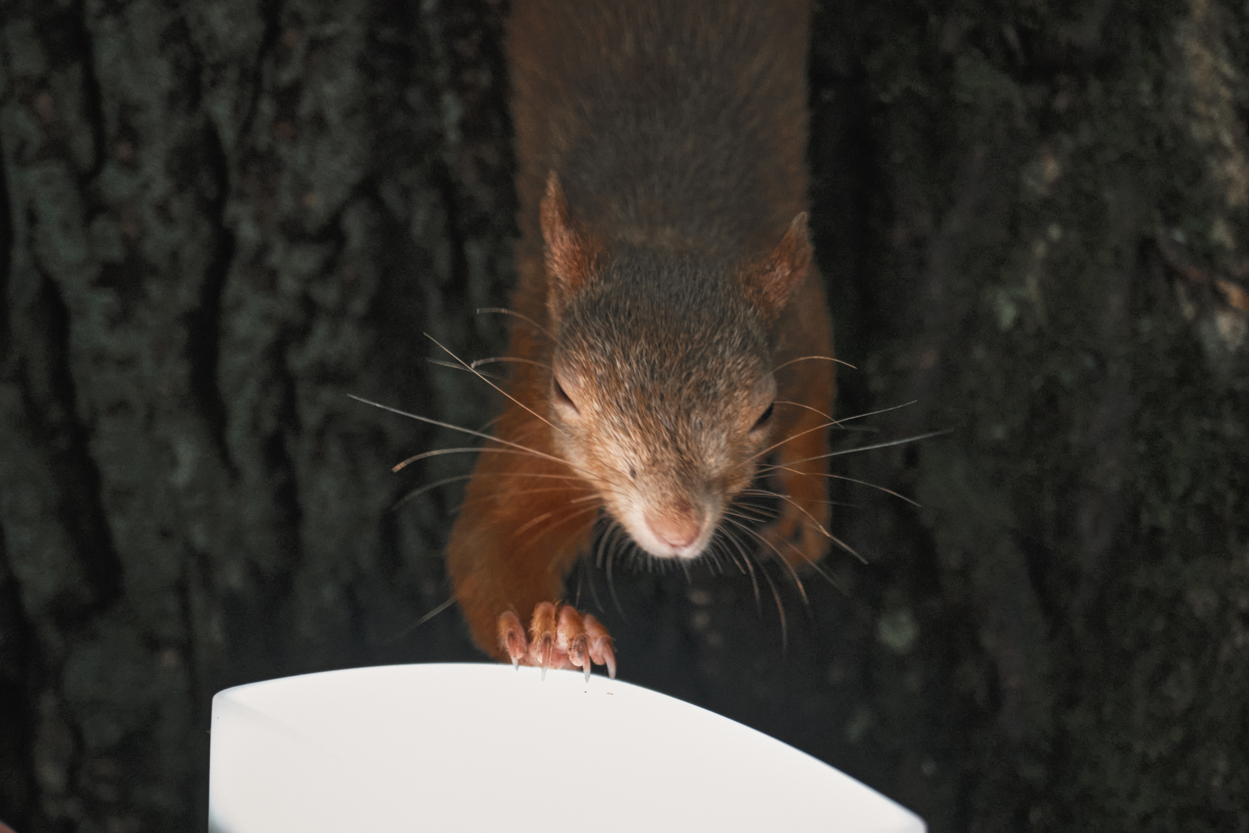 Родники Томска. Фотограф