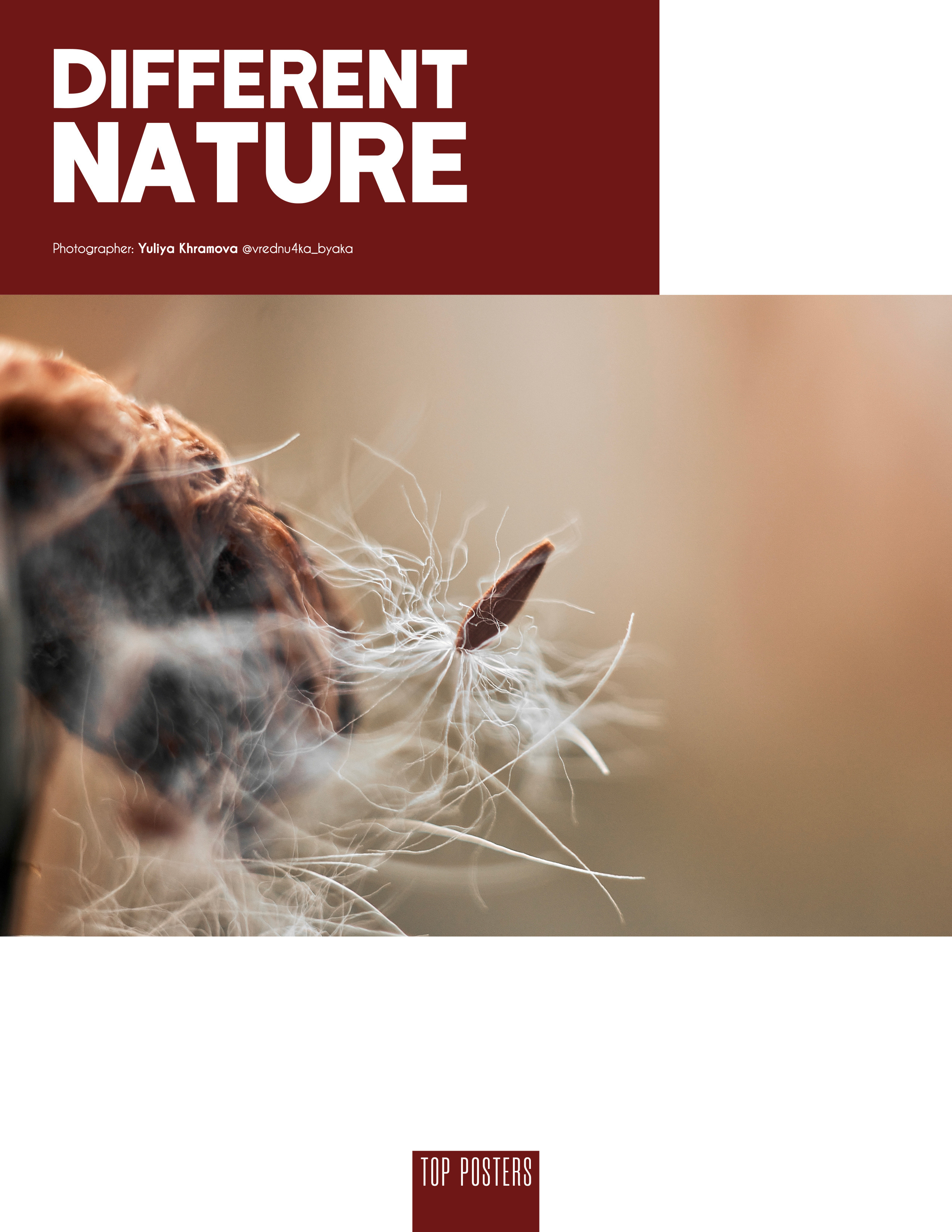 Такая разная природа. Фотограф