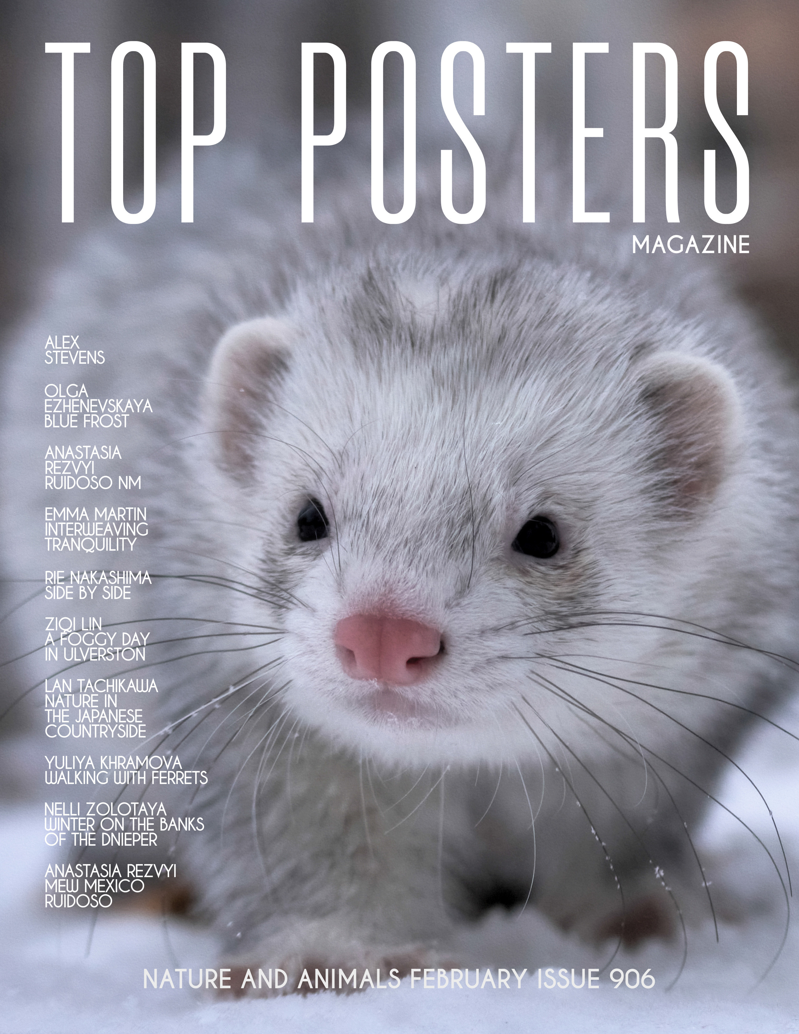 Встреча с хорьками. Фотограф