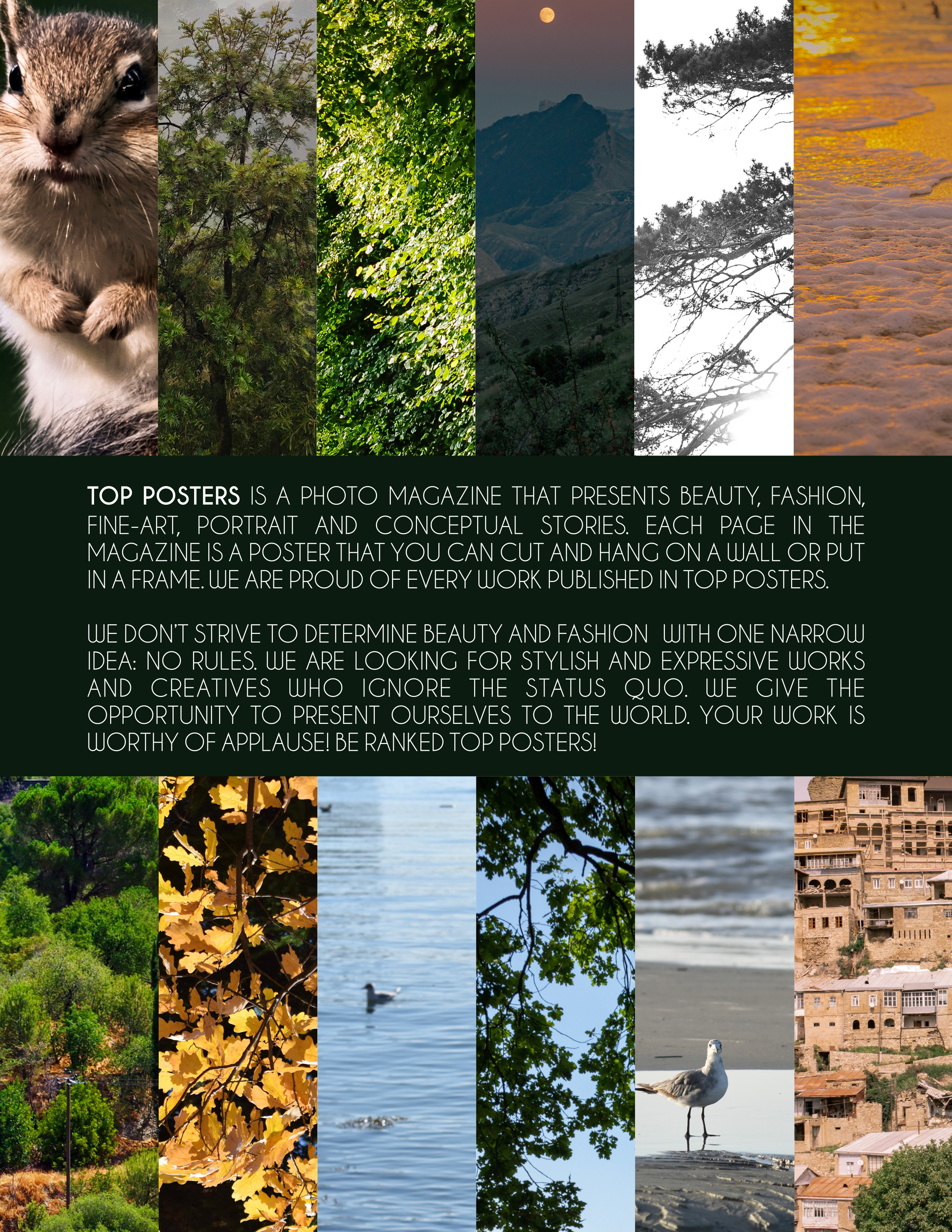 Животные Сибири. Фотограф