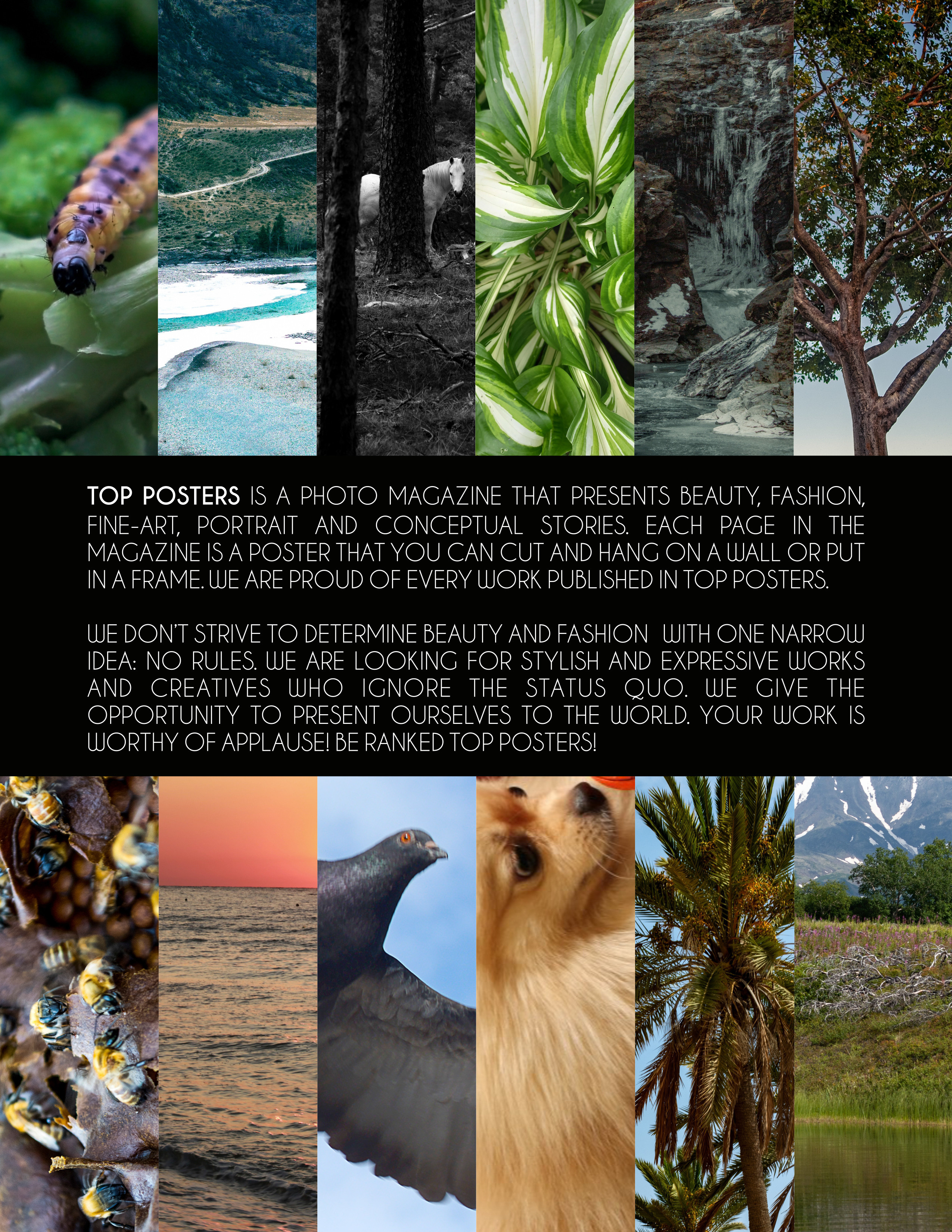 Microcosm. Фотограф