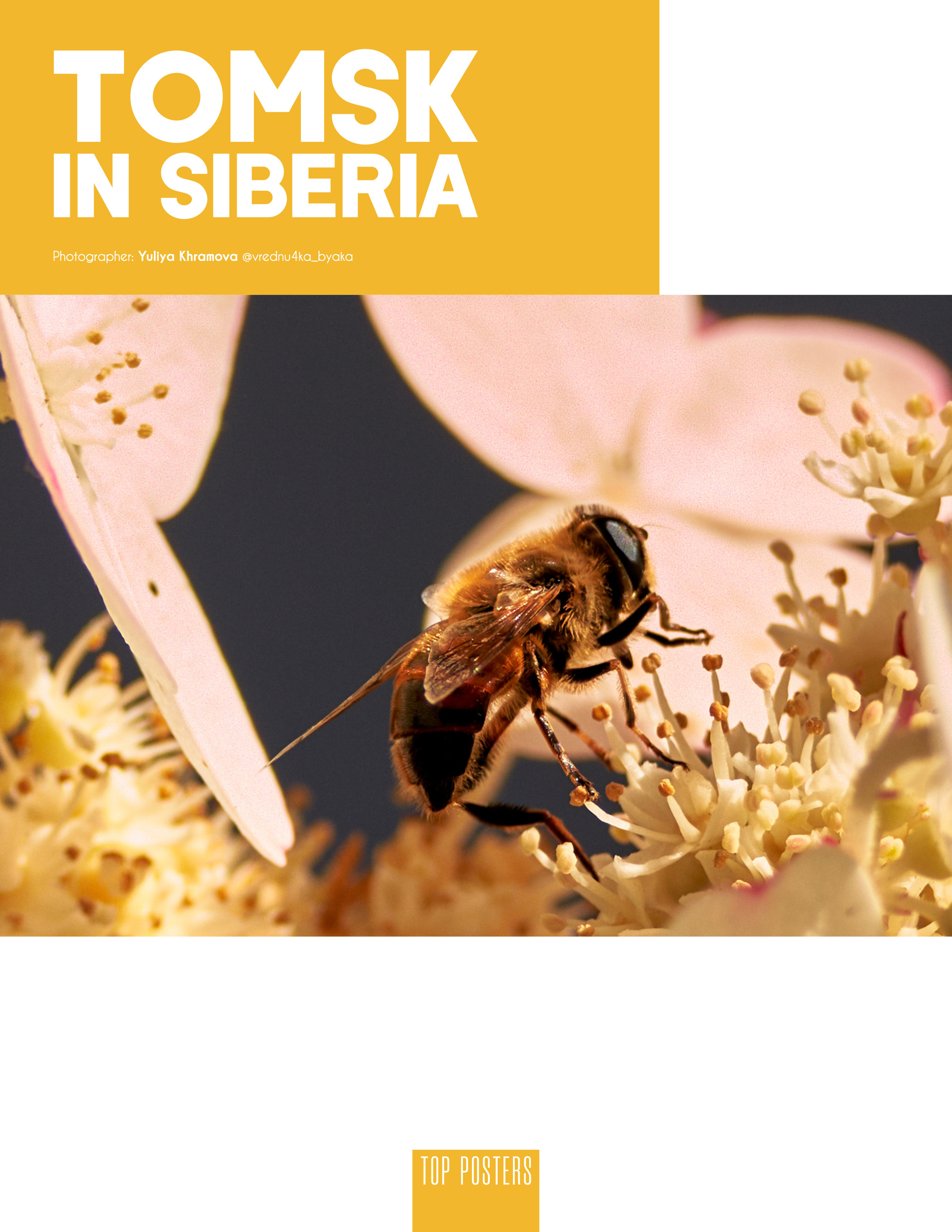 Томск в Сибири. Фотограф