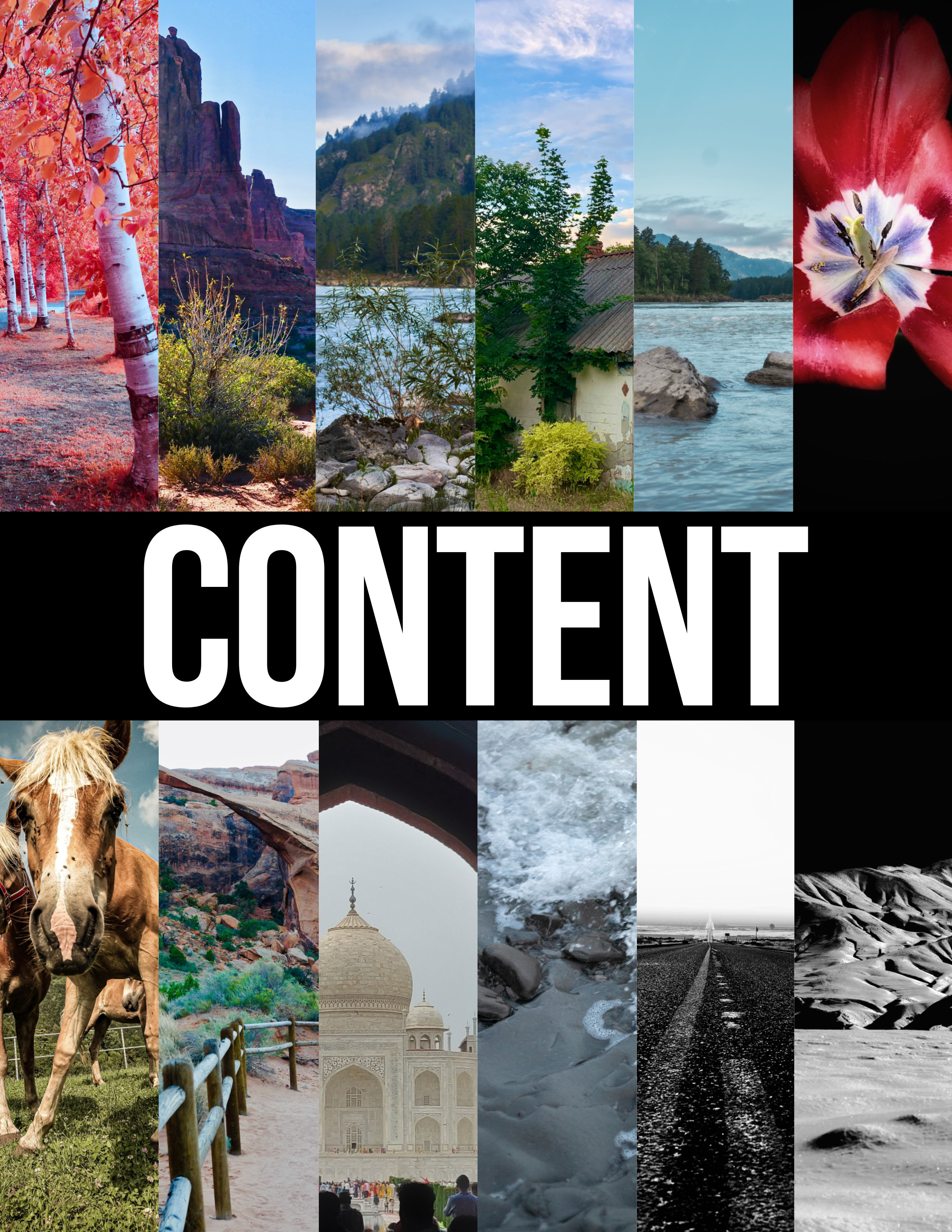 Altai Nature. Фотограф