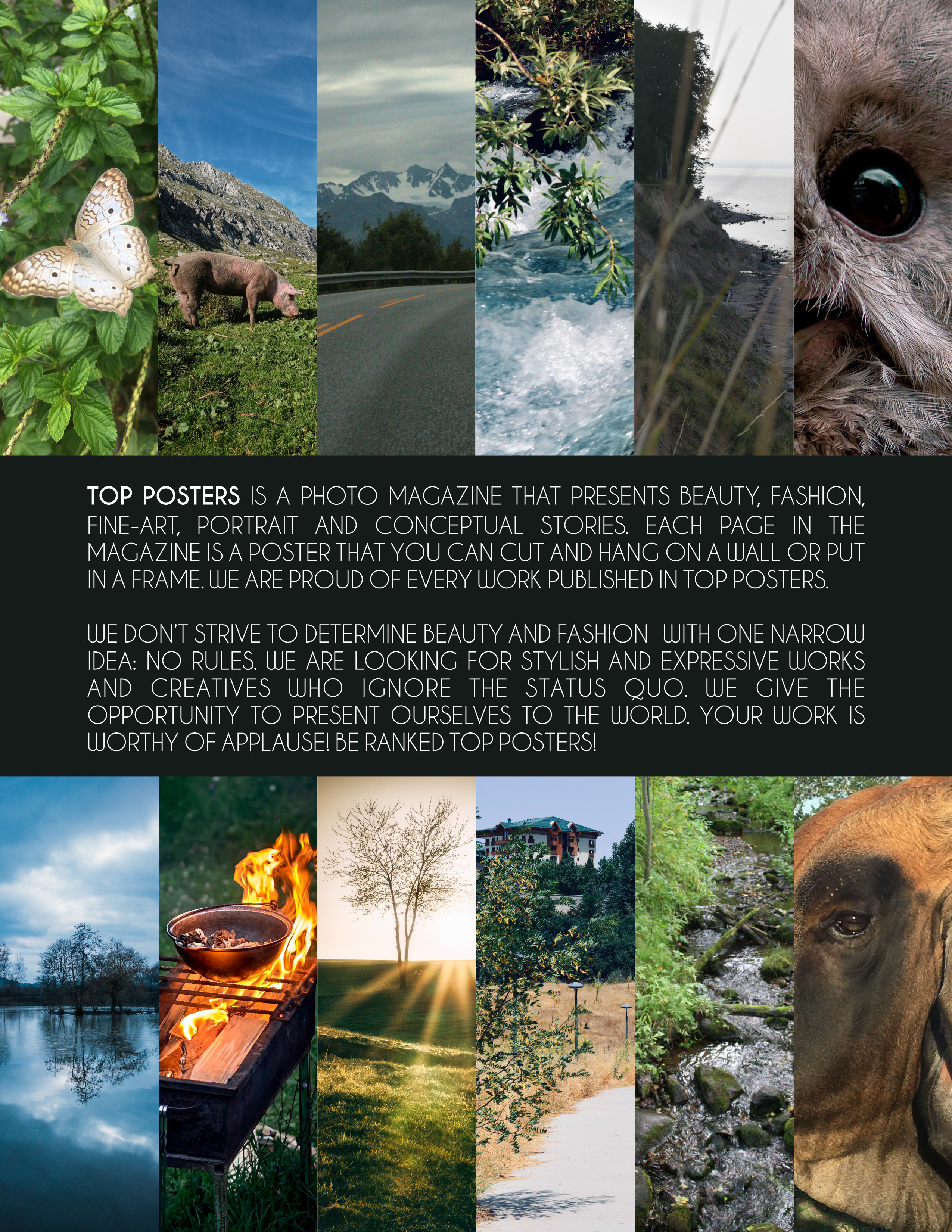 Travel to Altai. Фотограф