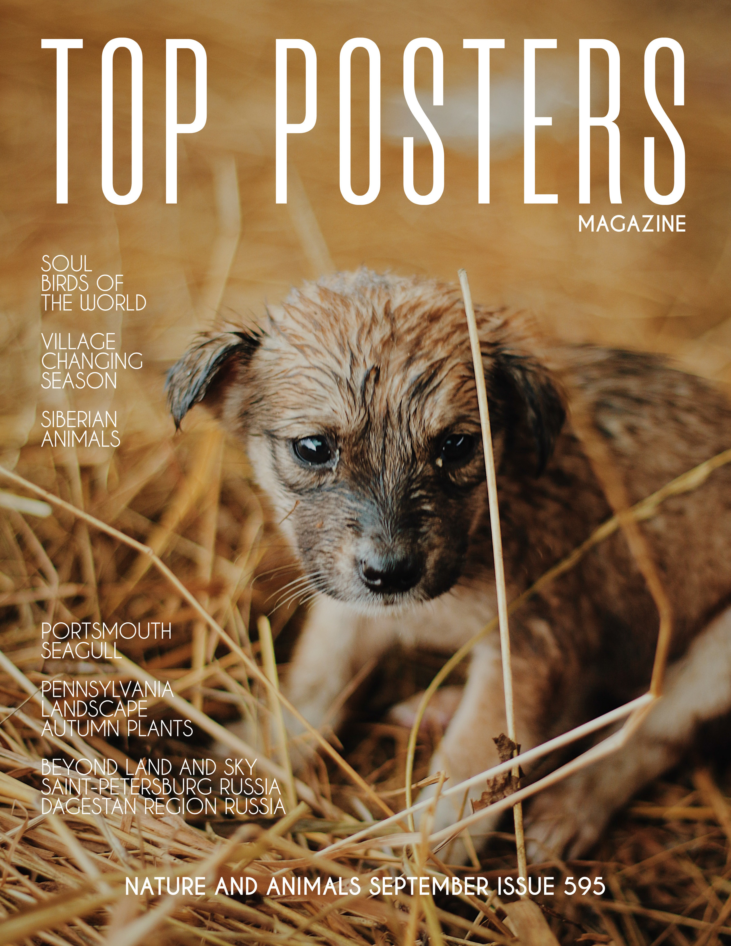 Животные Сибири. Фотограф