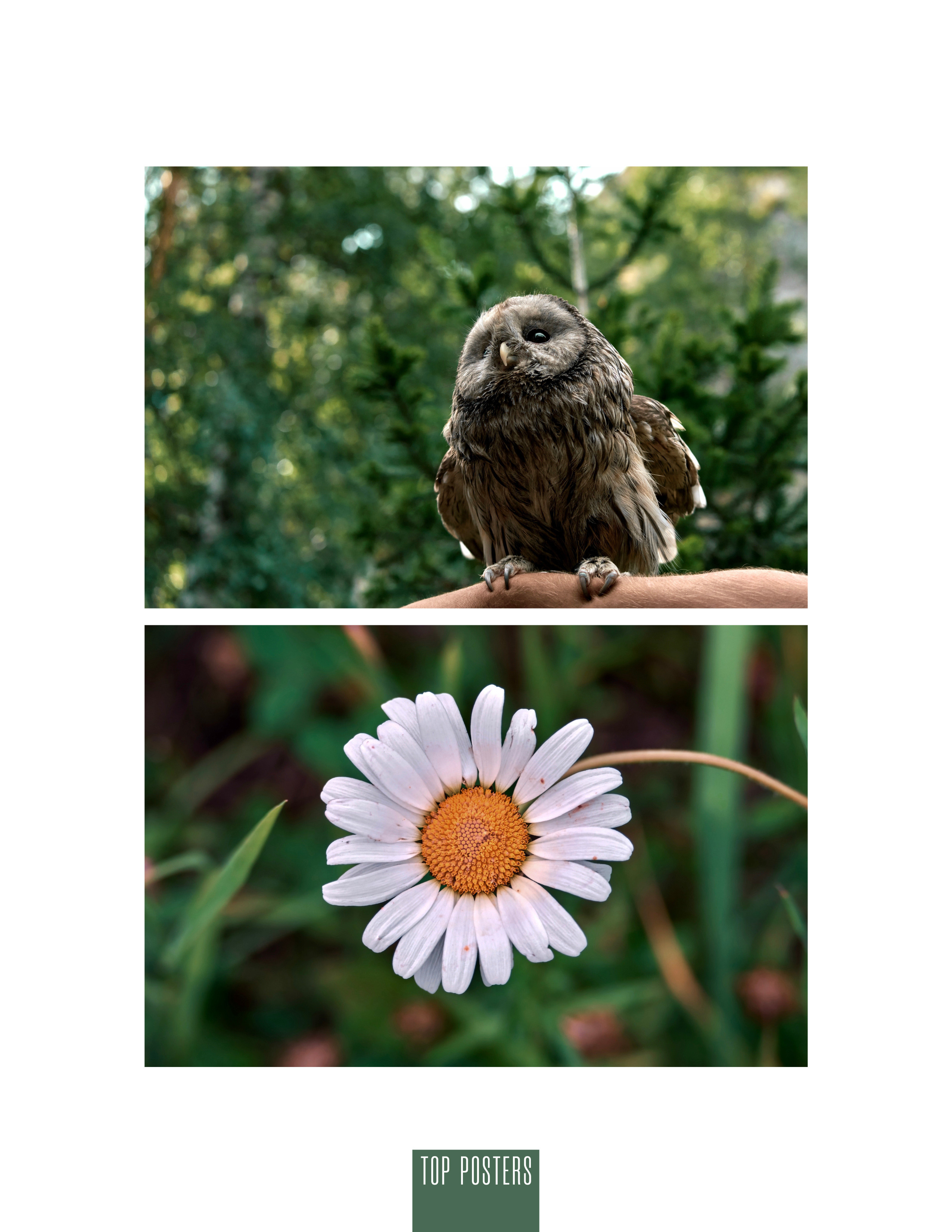 Travel to Altai. Фотограф