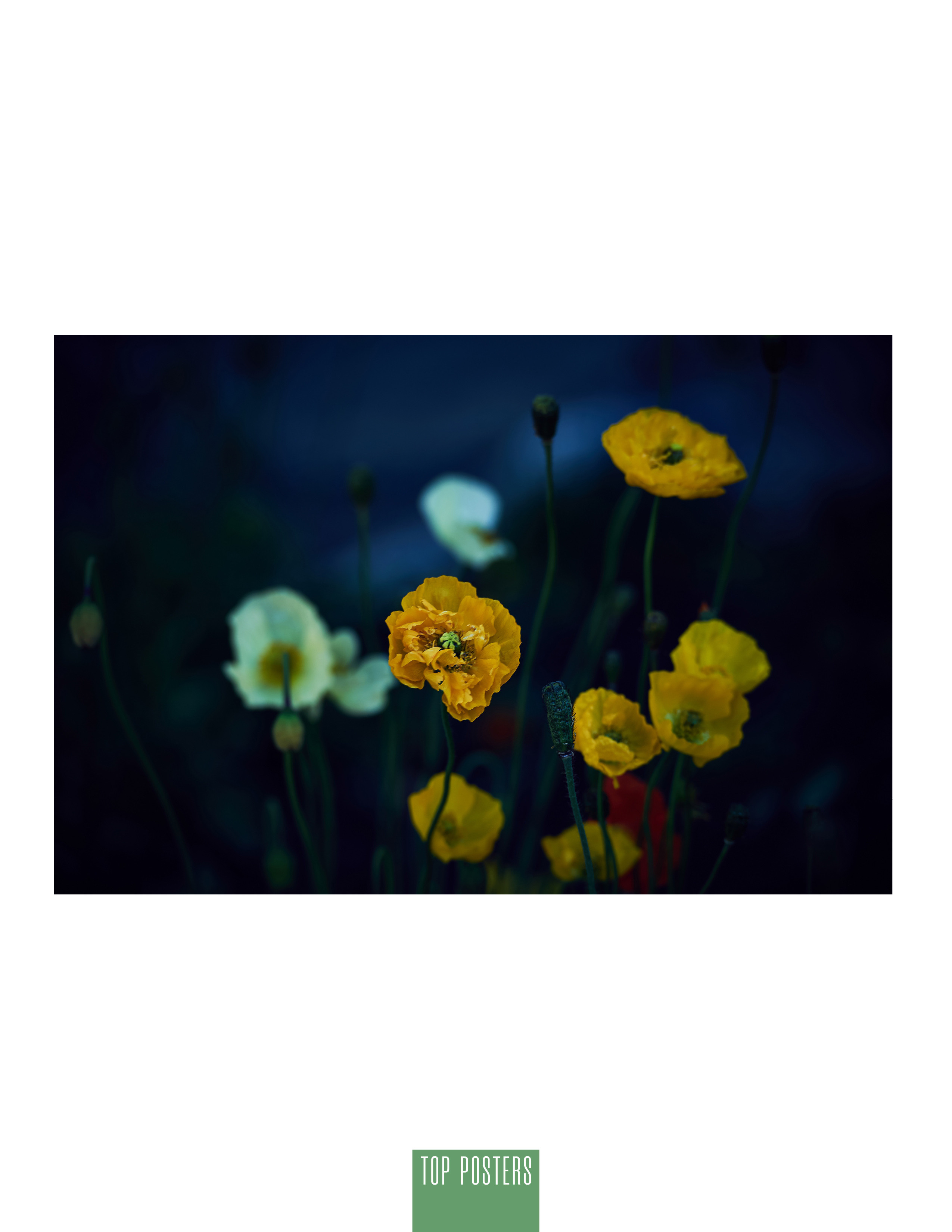 Siberia nature. Фотограф