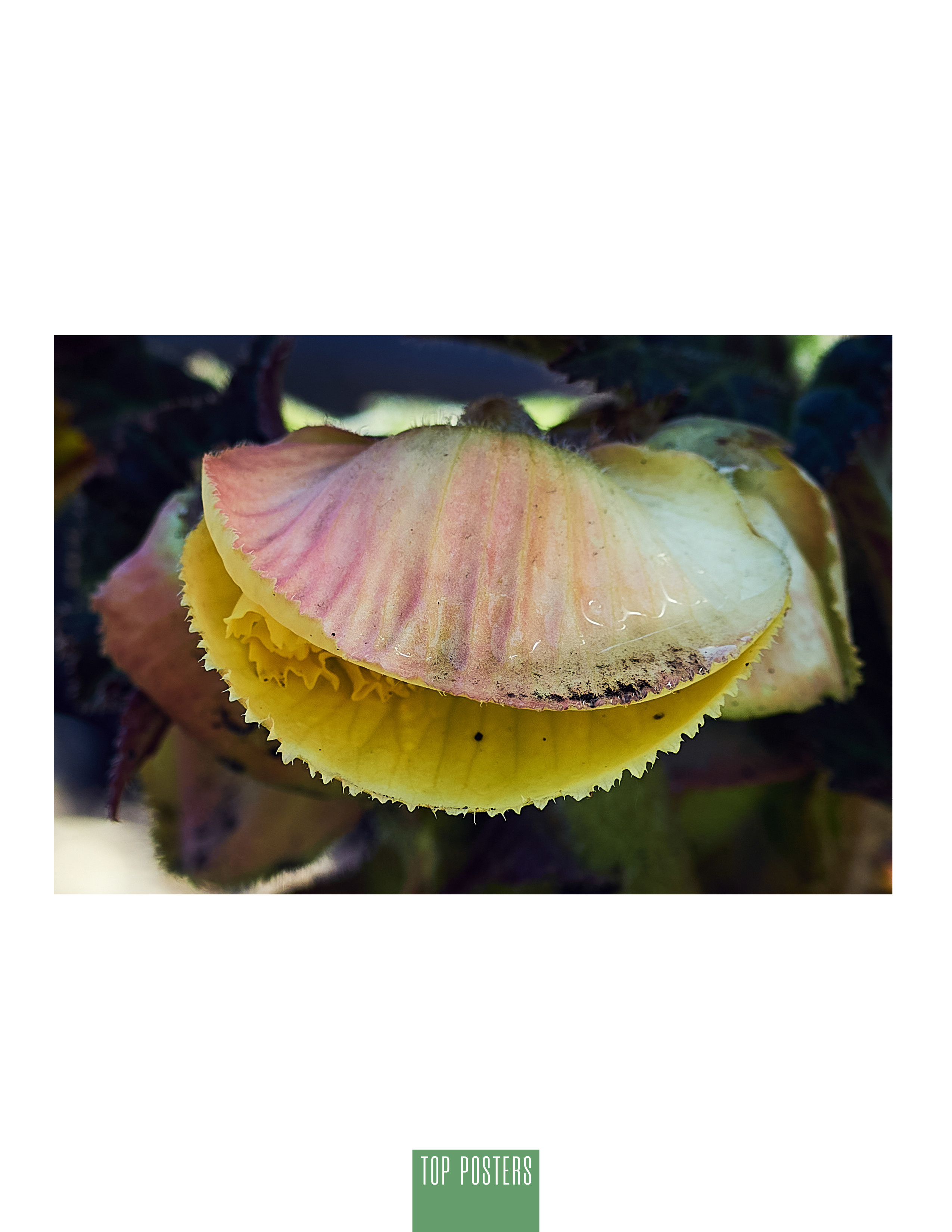 Siberia nature. Фотограф