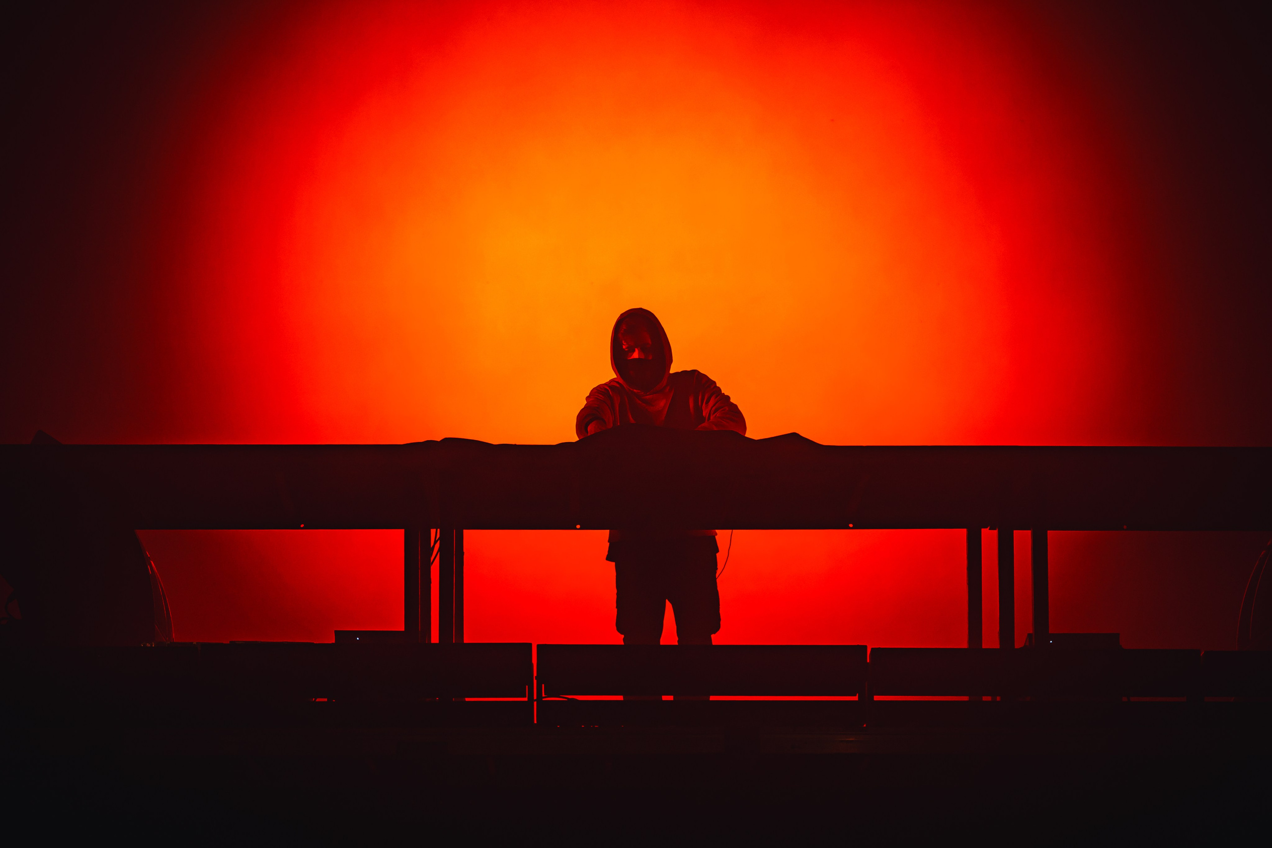 Alan Walker. Магия музыки в кадре: Концертная Фотография