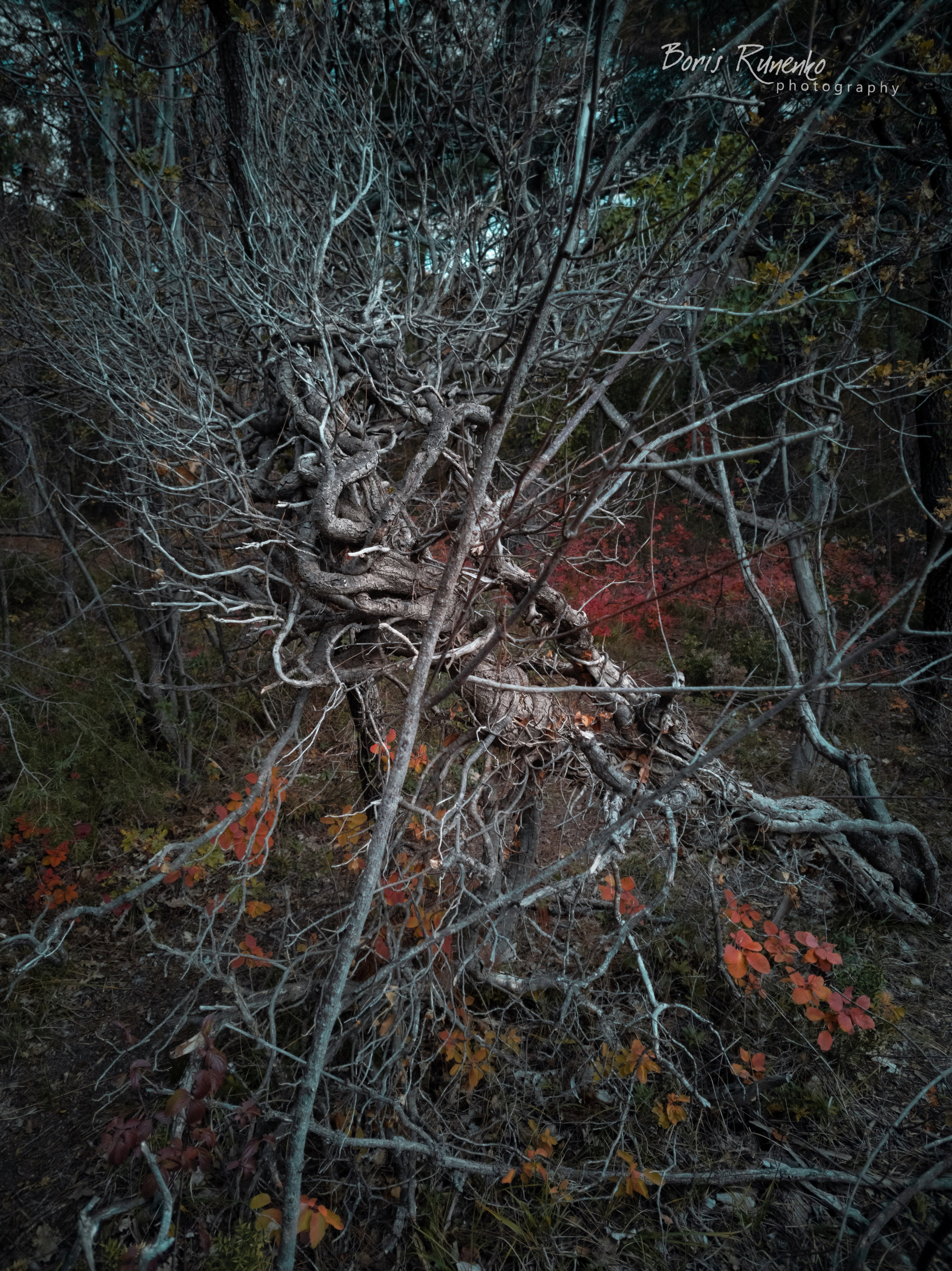 ЧЕРНОМОРСКОЕ ПОБЕРЕЖЬЕ. ОСЕНЬ. Борис Руненко. Пейзажный и travel-фотограф
