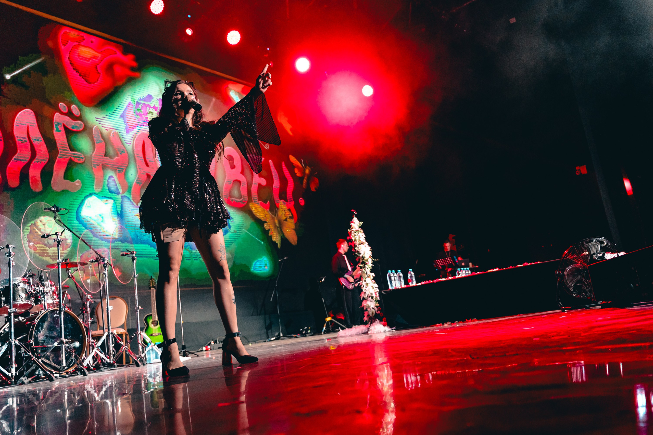 Алена Швец. Магия музыки в кадре: Концертная Фотография