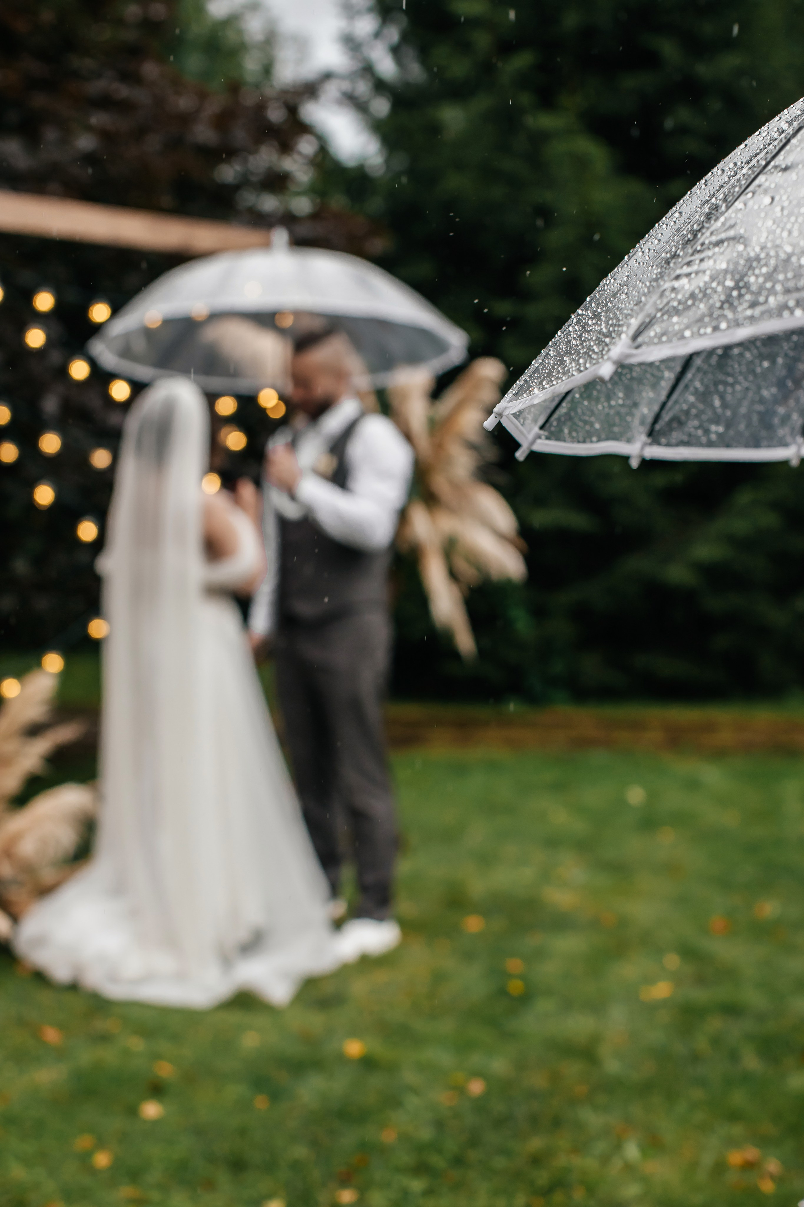 Свадьба Сергей и Ангелина. Анастасия Давыдова