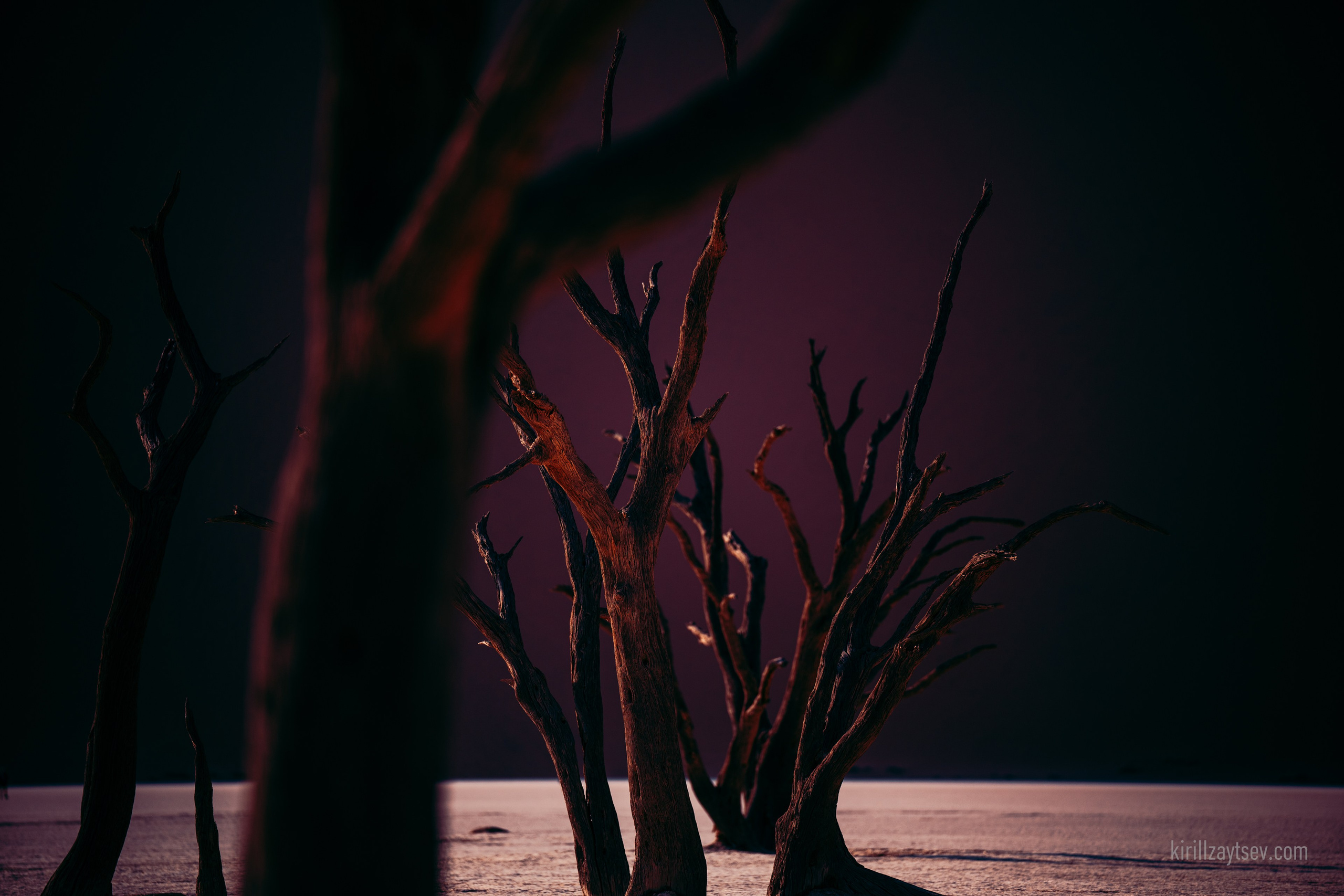 Жизнь. Профессиональный фотограф Кирилл Зайцев