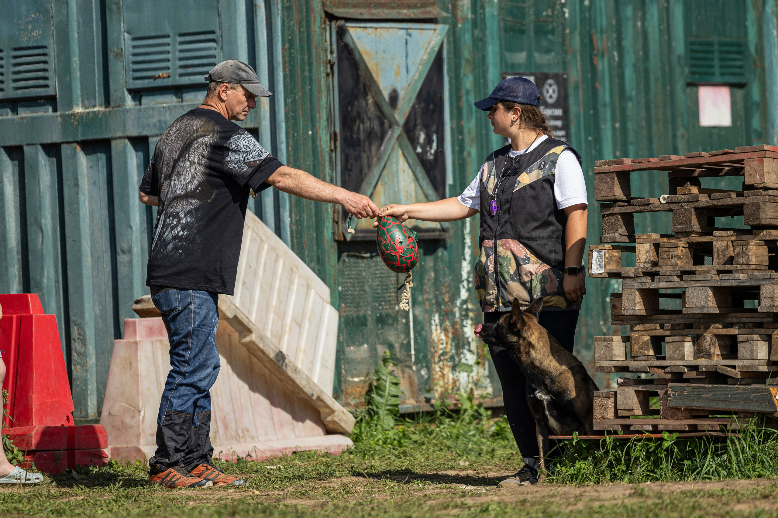 Соревнования по Мондьорингу г. Вологда 10-11.08.2024. Фотограф-анималист Анна Маринич