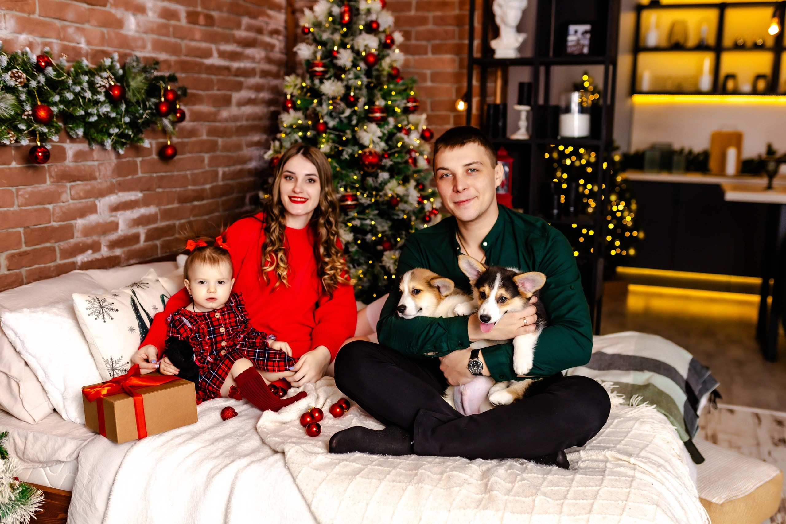 Фотосессия с Щеночками Корги Липецк. Свадебный и семейный фотограф Виолетта в Липецке