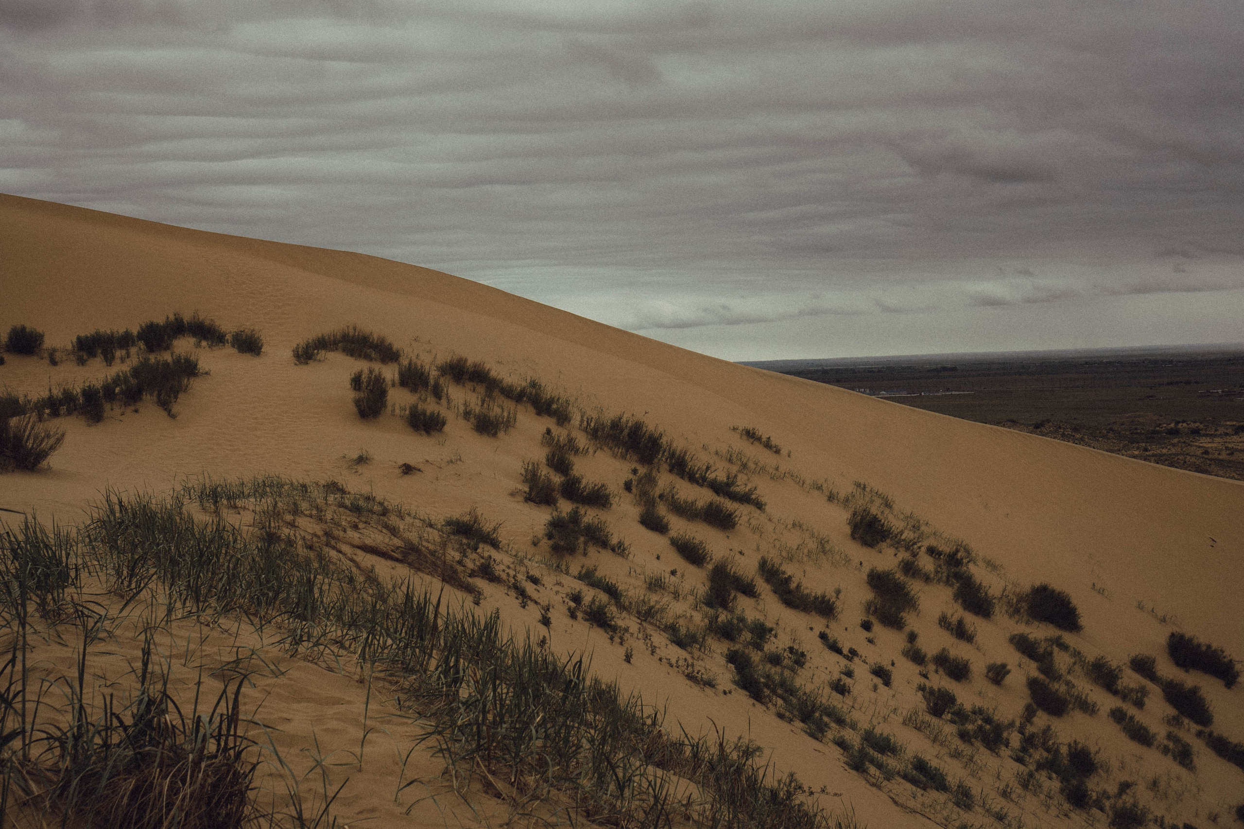 Кавказ. Профессиональный фотограф, Санкт-Петербург — Виктория Богомолова