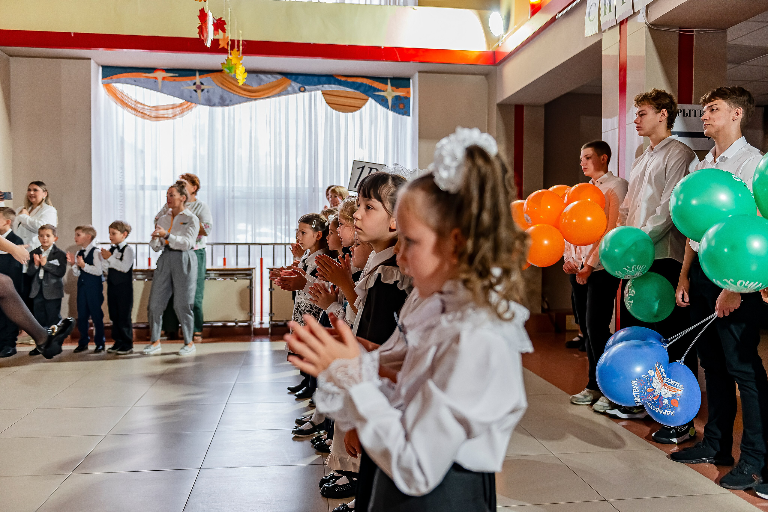 1 «В» | Гимназия № 3| г. Белгород |2024. ALBUMIA