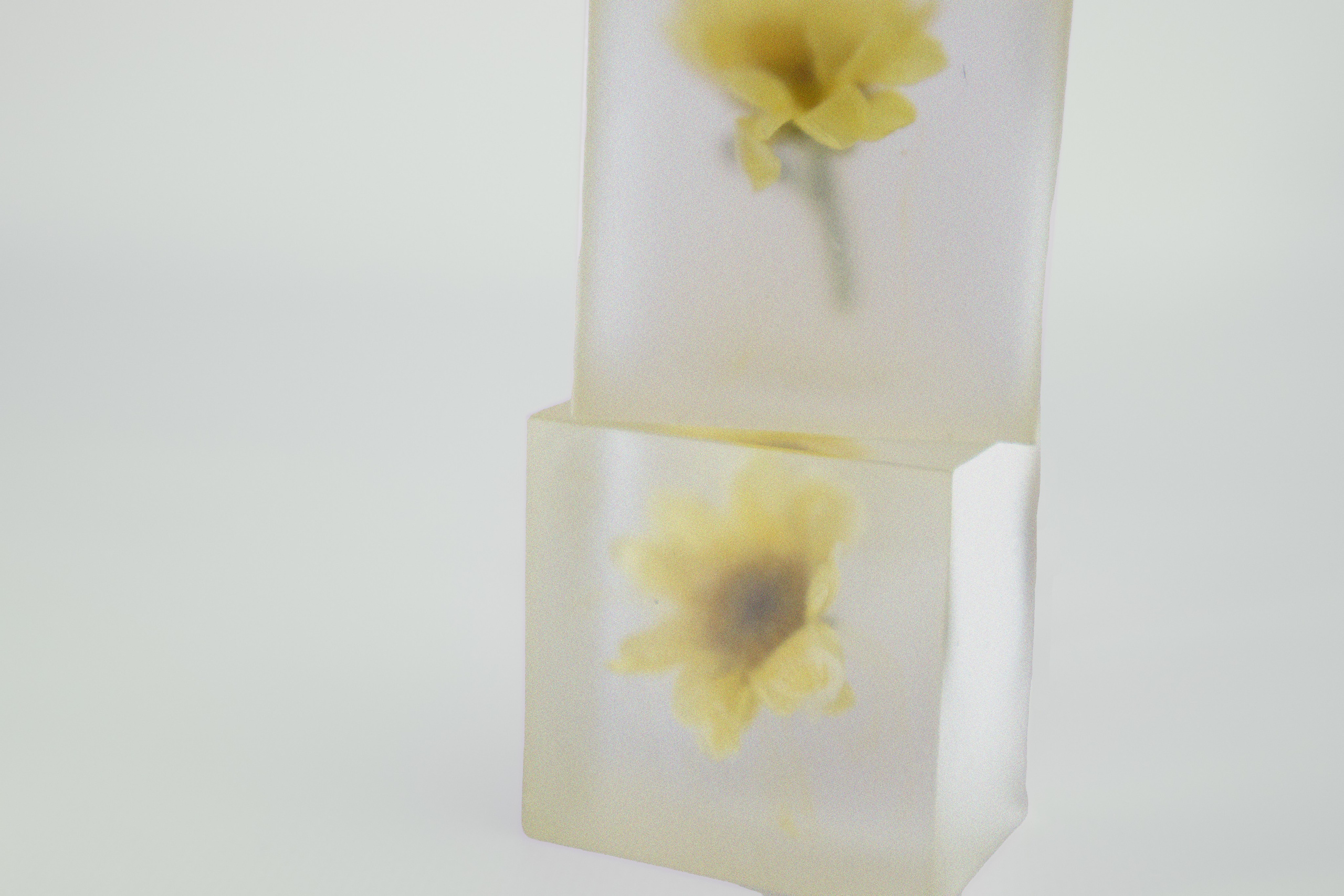 Предметная съемка. Art direction & Design | Curiosa