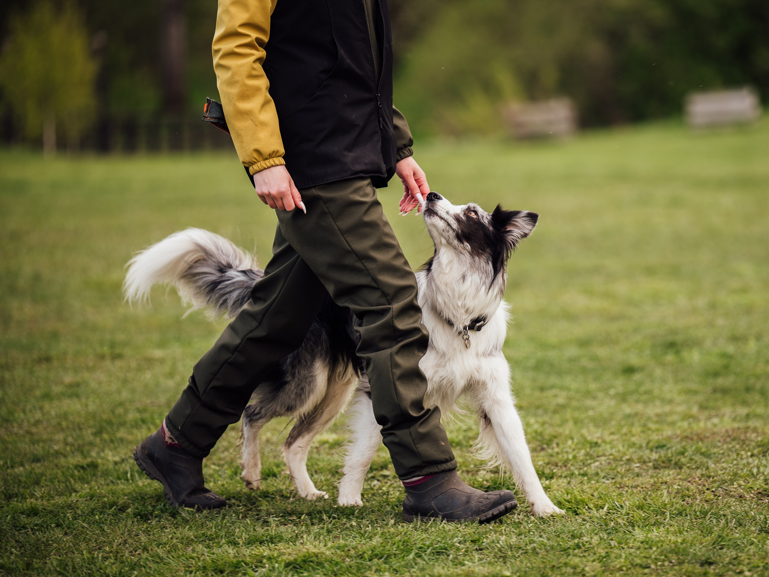 Обидиенс. Семейный фотограф анималист Ананьева Мария — Москва