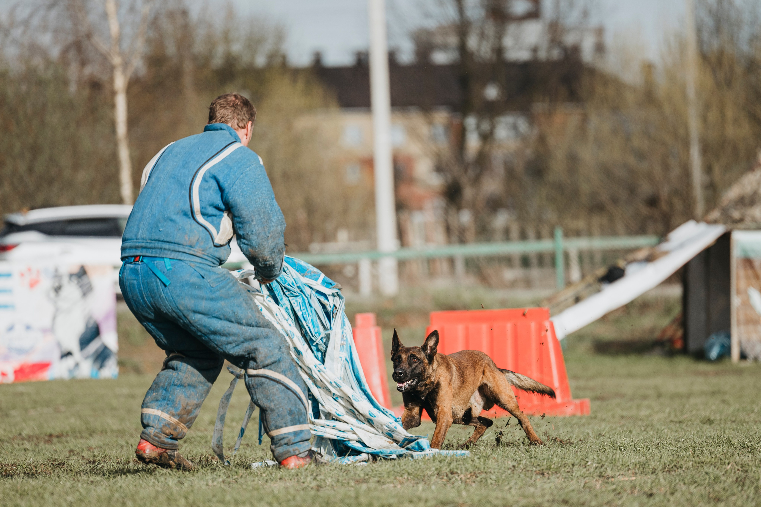 09.05.25 Вологда соревнования. Фотограф-анималист Анна Маринич