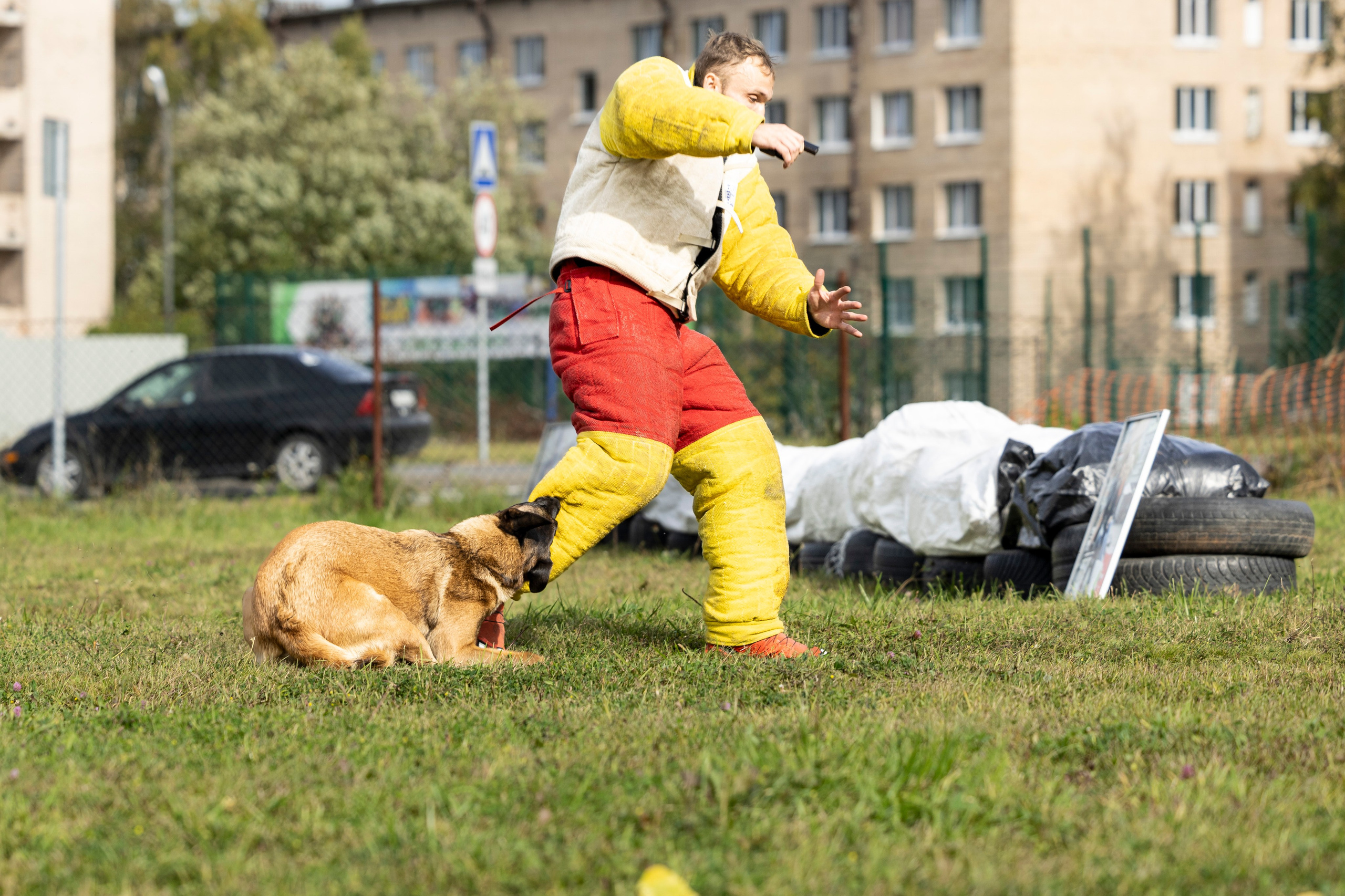 Испытания по Мондьорингу г. Пушкин. Фотограф-анималист Анна Маринич