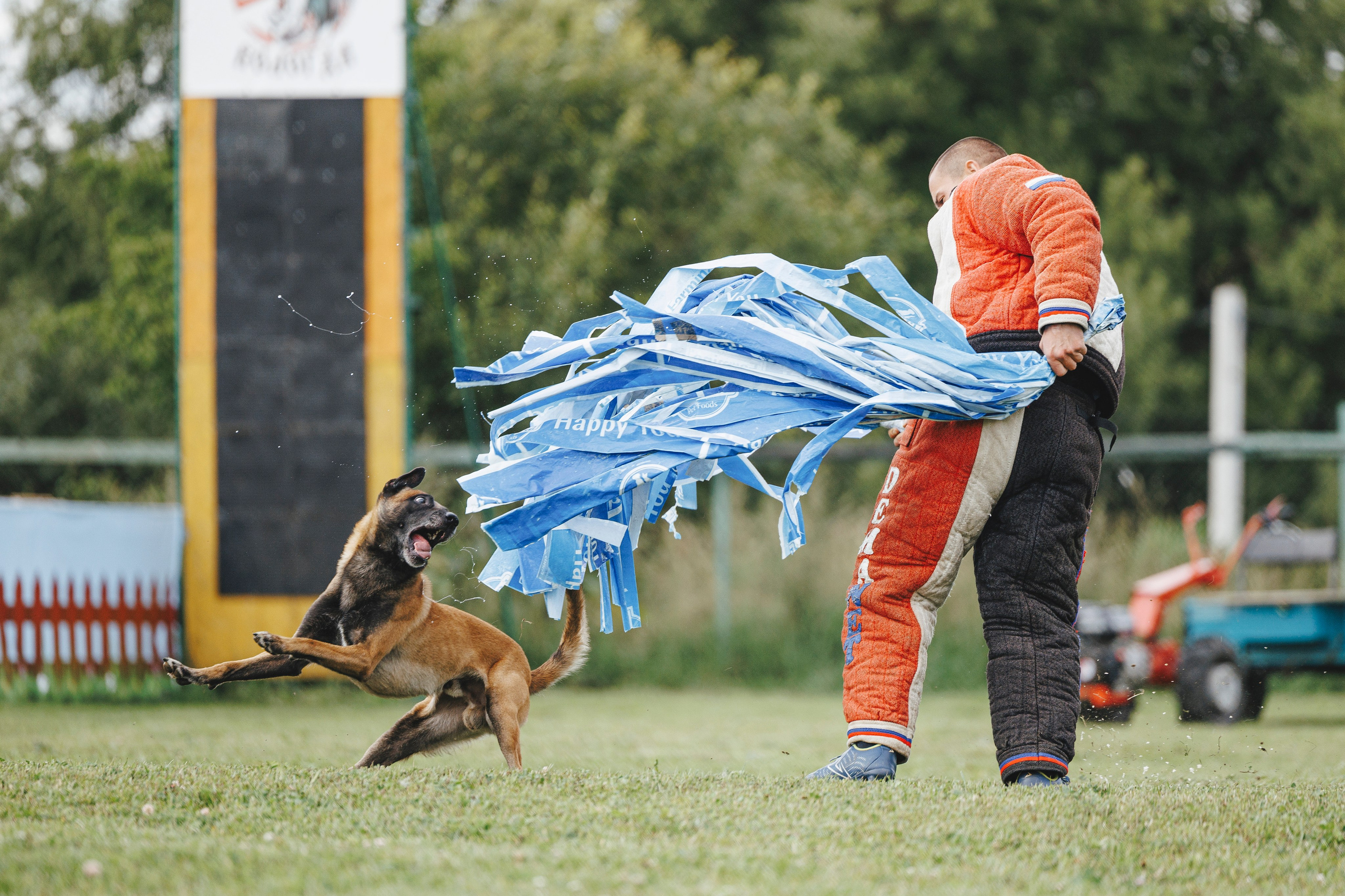 08.08.25-10.08.25 ЧР по мондьорингу г. Вологда. Фотограф-анималист Анна Маринич