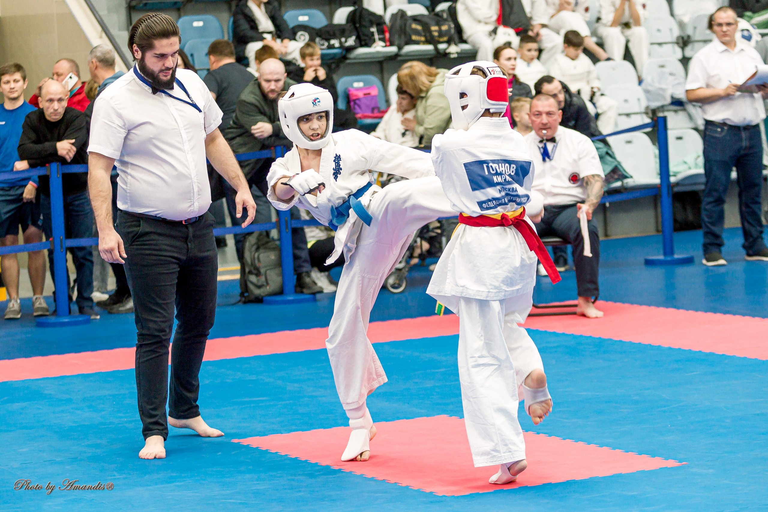 Чемпионат по Киокушинкай Центрального Федерального округа. Репортажная съемка в Москве и области. Анималистика