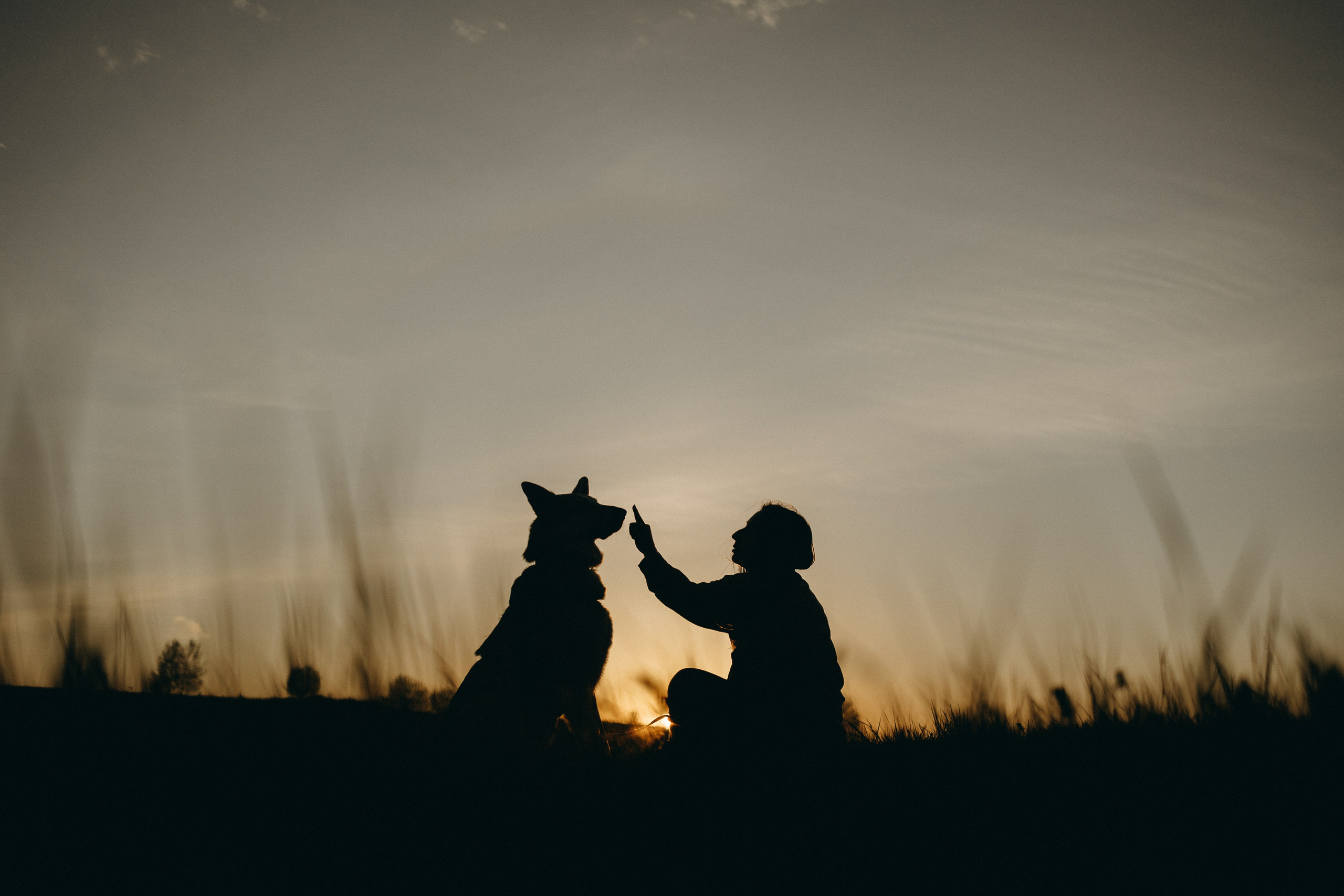 Саша и Зельда. Фотограф — Анималист | Санкт-Петербург