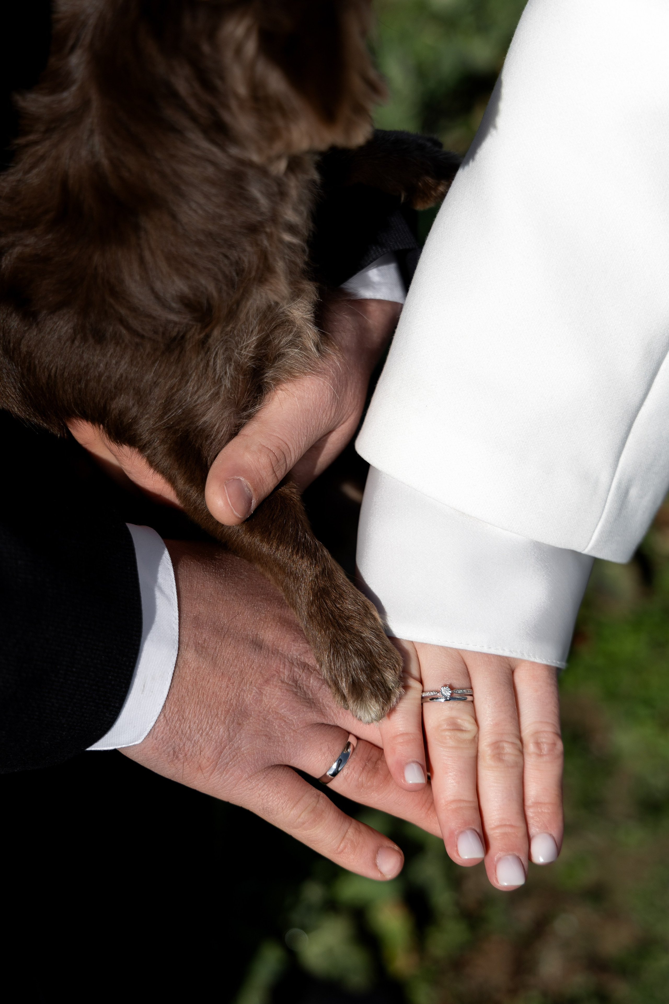 Якуб & Екатерина | Свадьба в поле. Фотограф в Калининграде Сокирко Светлана