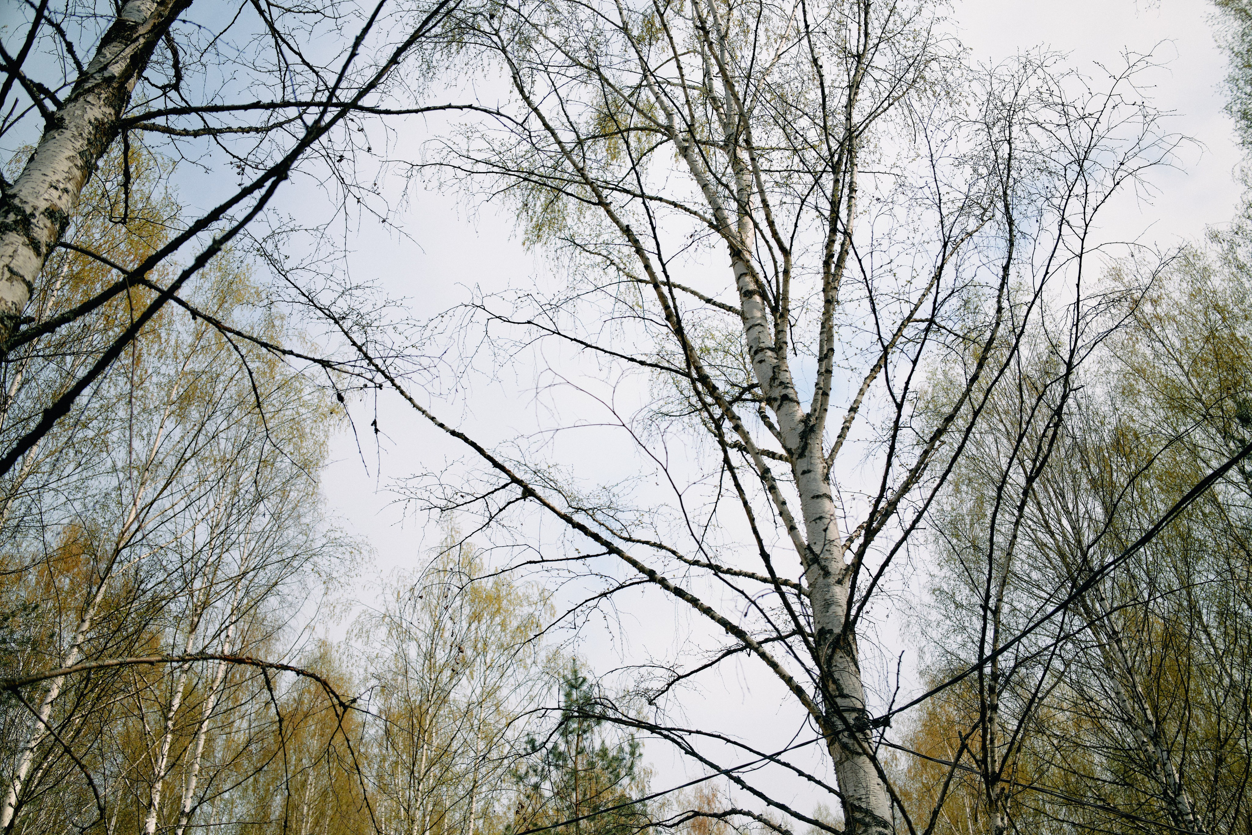 Бутик-отель Поле летом. Профессиональный Фотограф во Владимире, в Москве и в Суздале — Полина Романычева