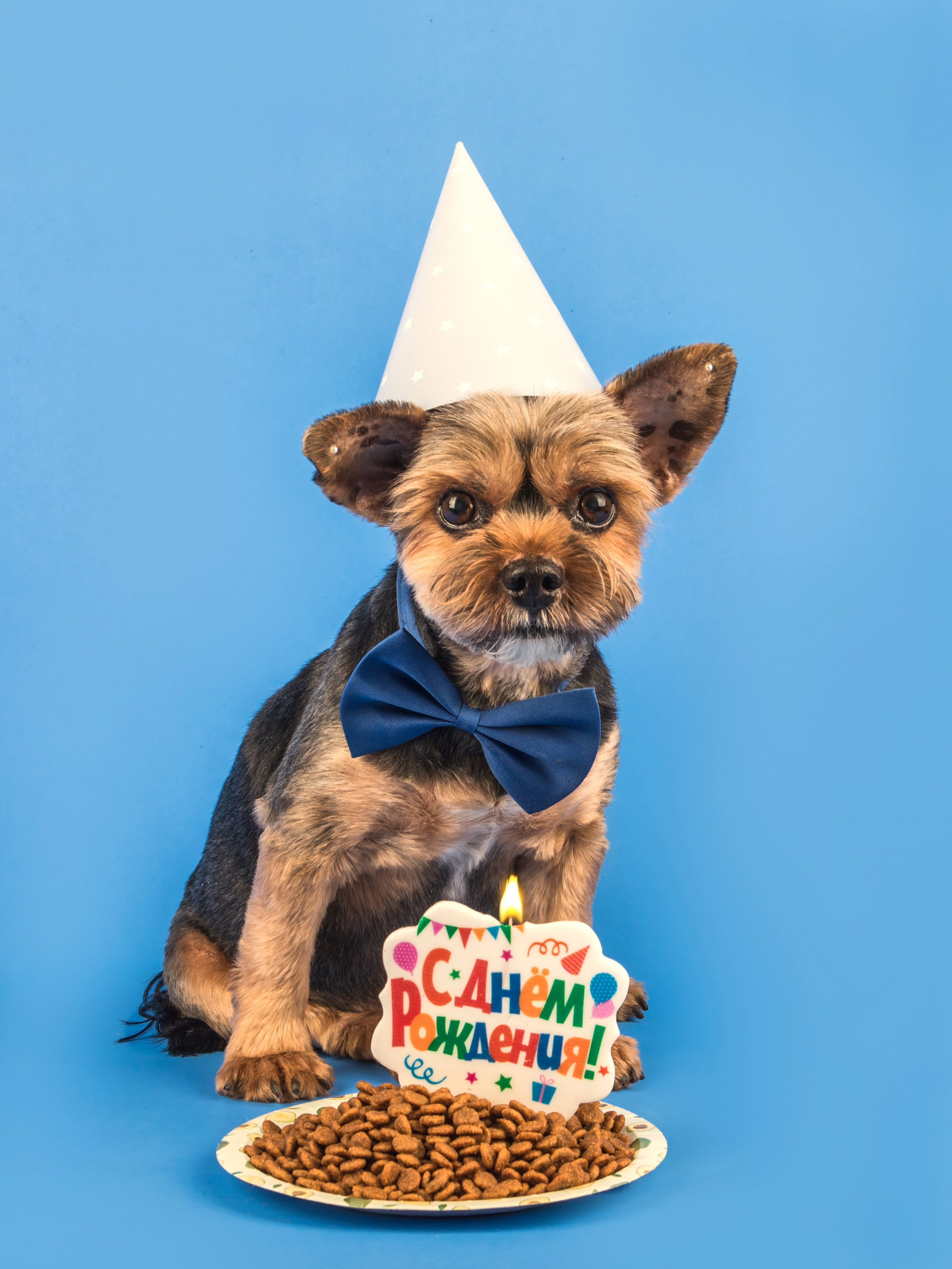 Серии. Предметный и семейный фотограф в Санкт-Петербурге Катерина Стеклова