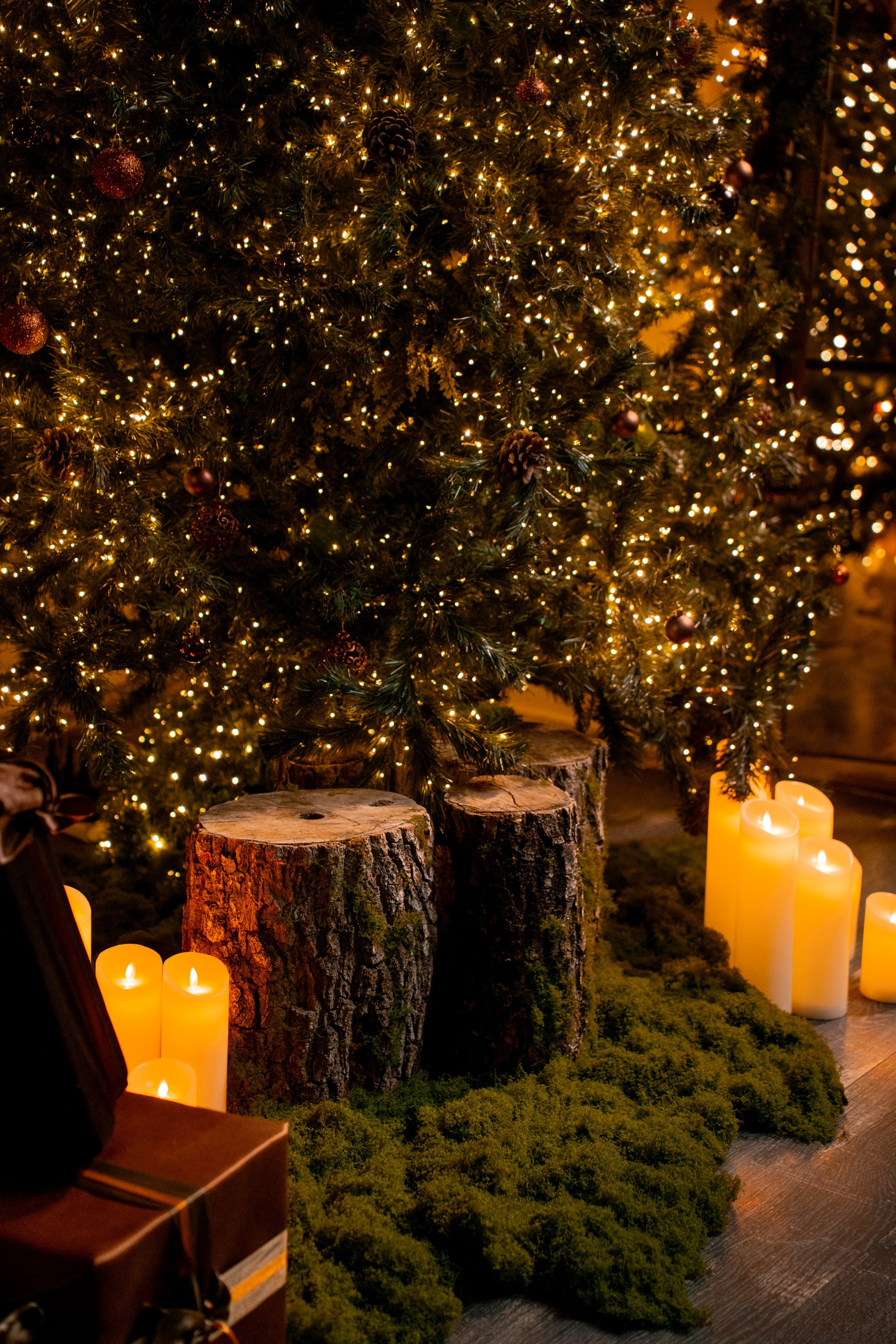 Фотостудия AlexCam | Фотостудии Саратова