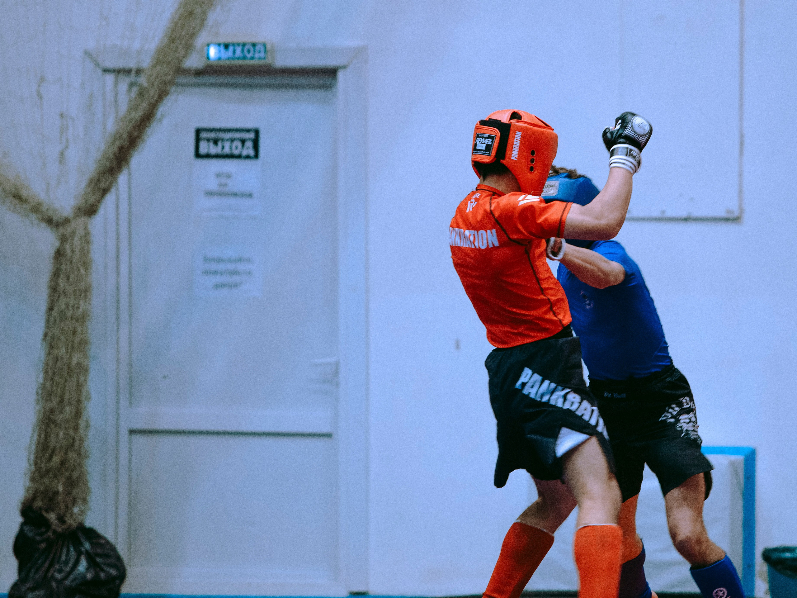 ПАНКРАТИОН | Чемпионат и первенство СФО | март `24. Портретный фотограф в Москве Дарья Цезария