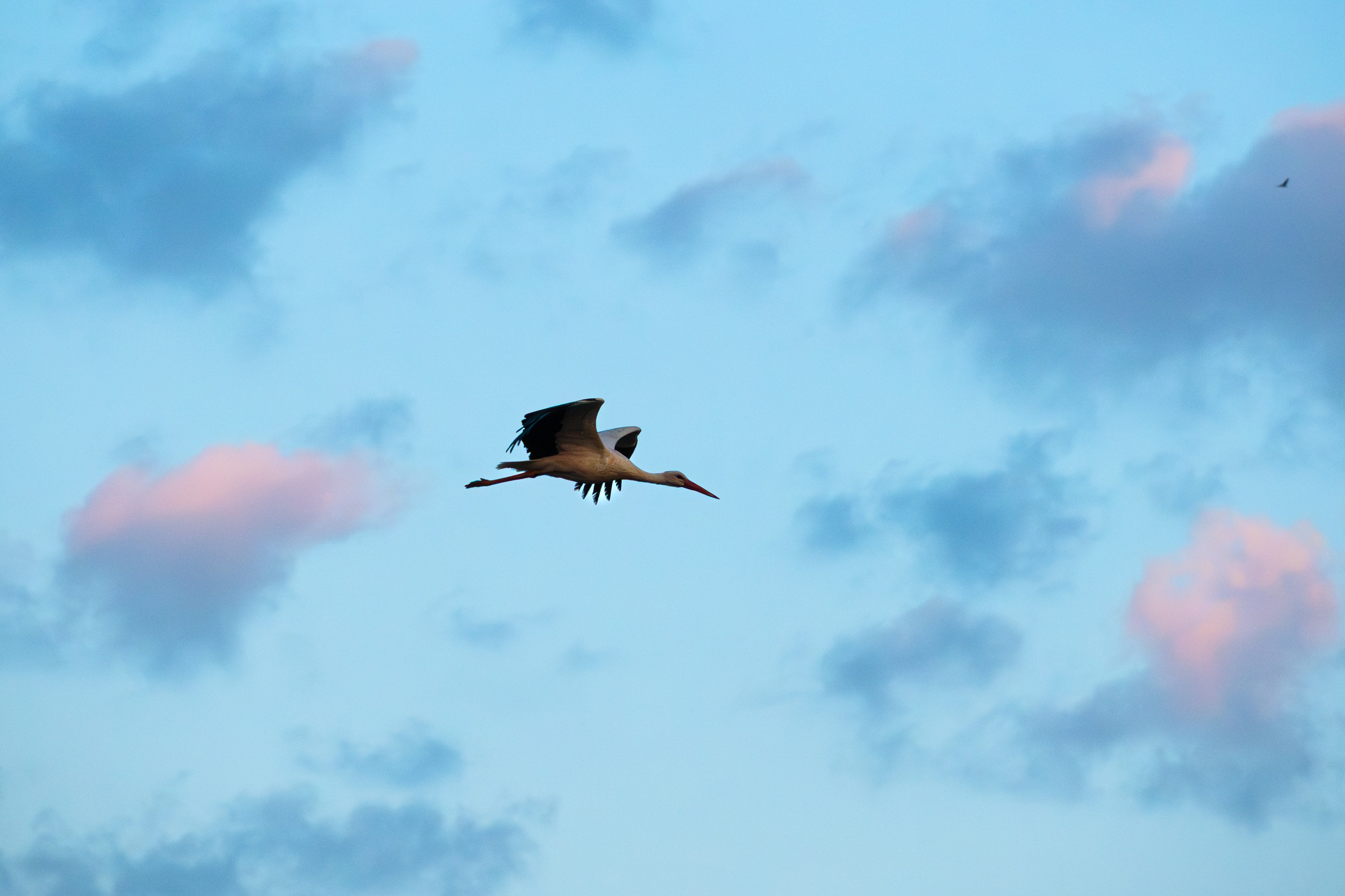 Суворовские карьеры. Фотограф и видеооператор в Туле | Даниил Рыбак