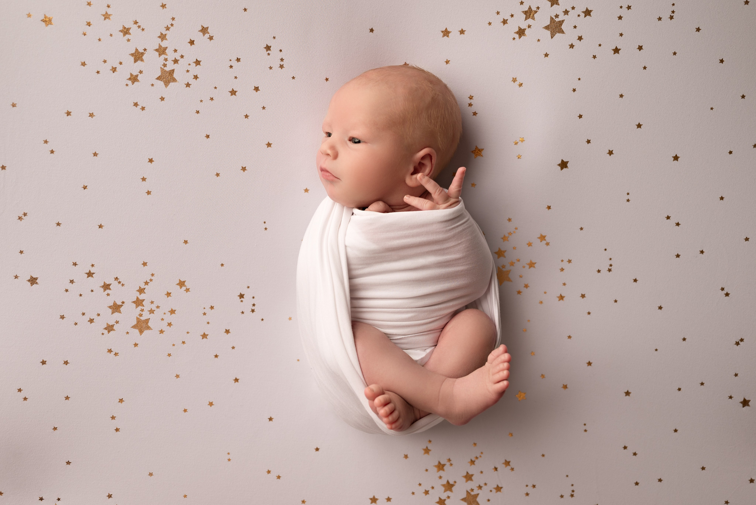 Фотогалерея. Фотограф новорожденных в Моксве и МО, Альбина Саламатова