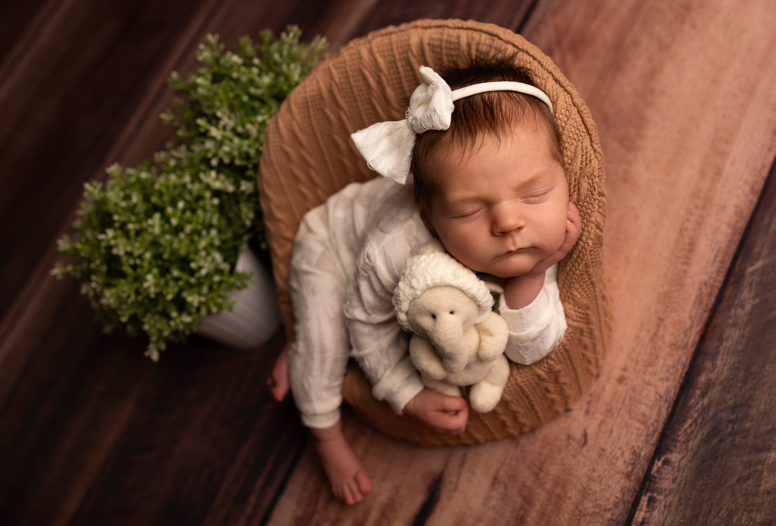 Новорожденные малыши. Фотограф Елена Зуйкова