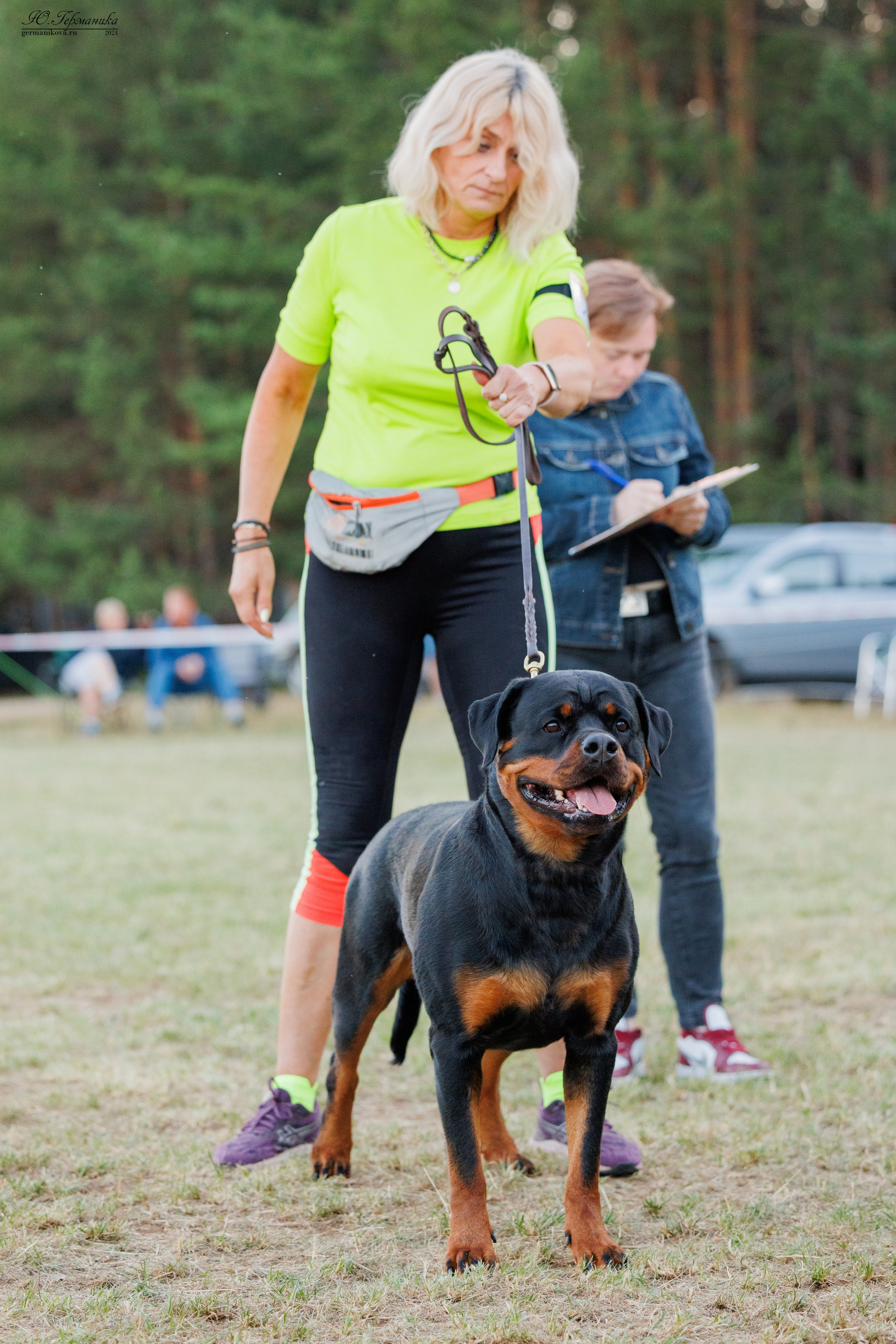 ПК и КЧК ротвейлеры Тверь 6-7.07.2024. Фотограф-анималист Юлия Германика