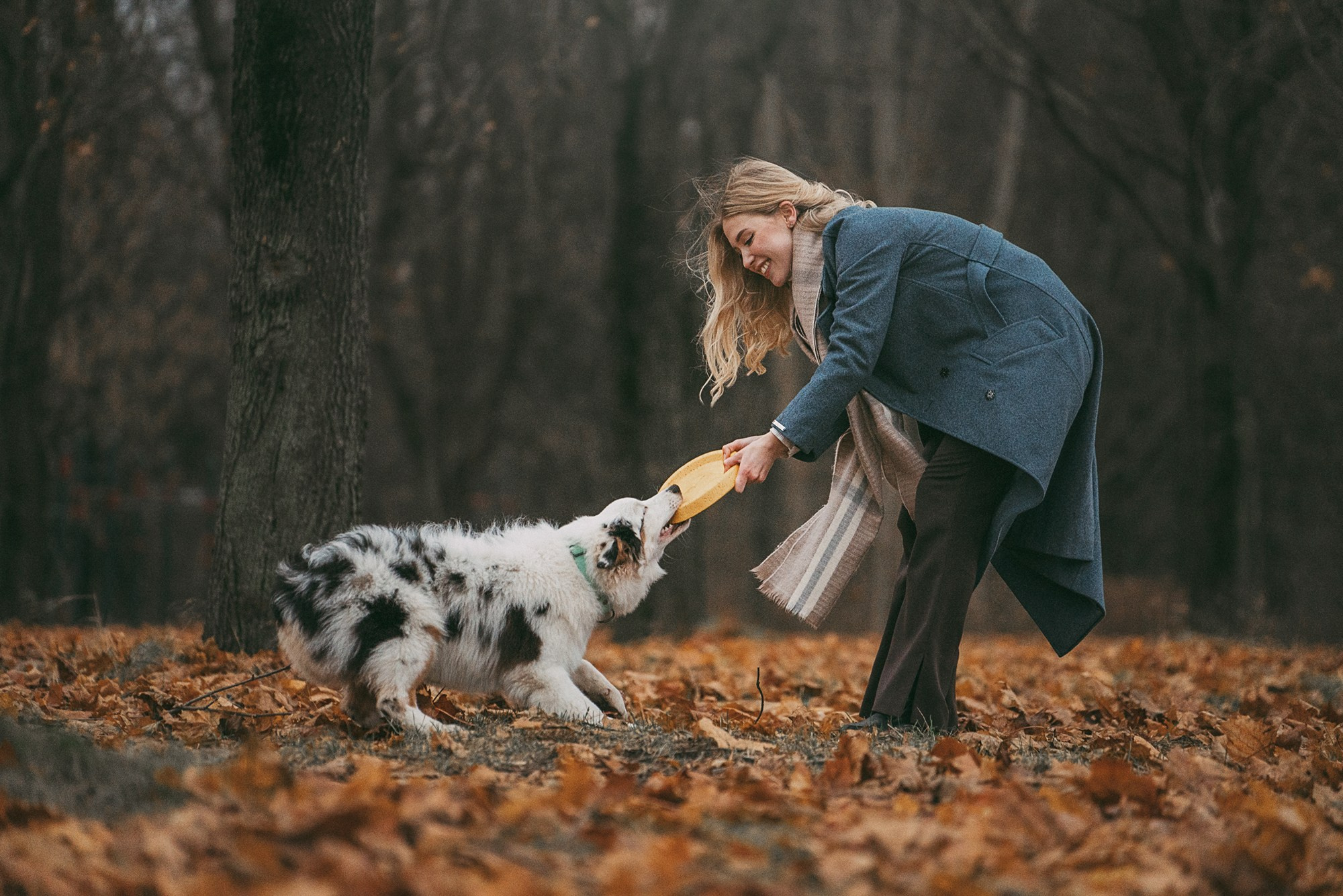 Лиза и Бублик. Фотограф анималист в Москве и Санкт-Петербурге Свиридова Анна