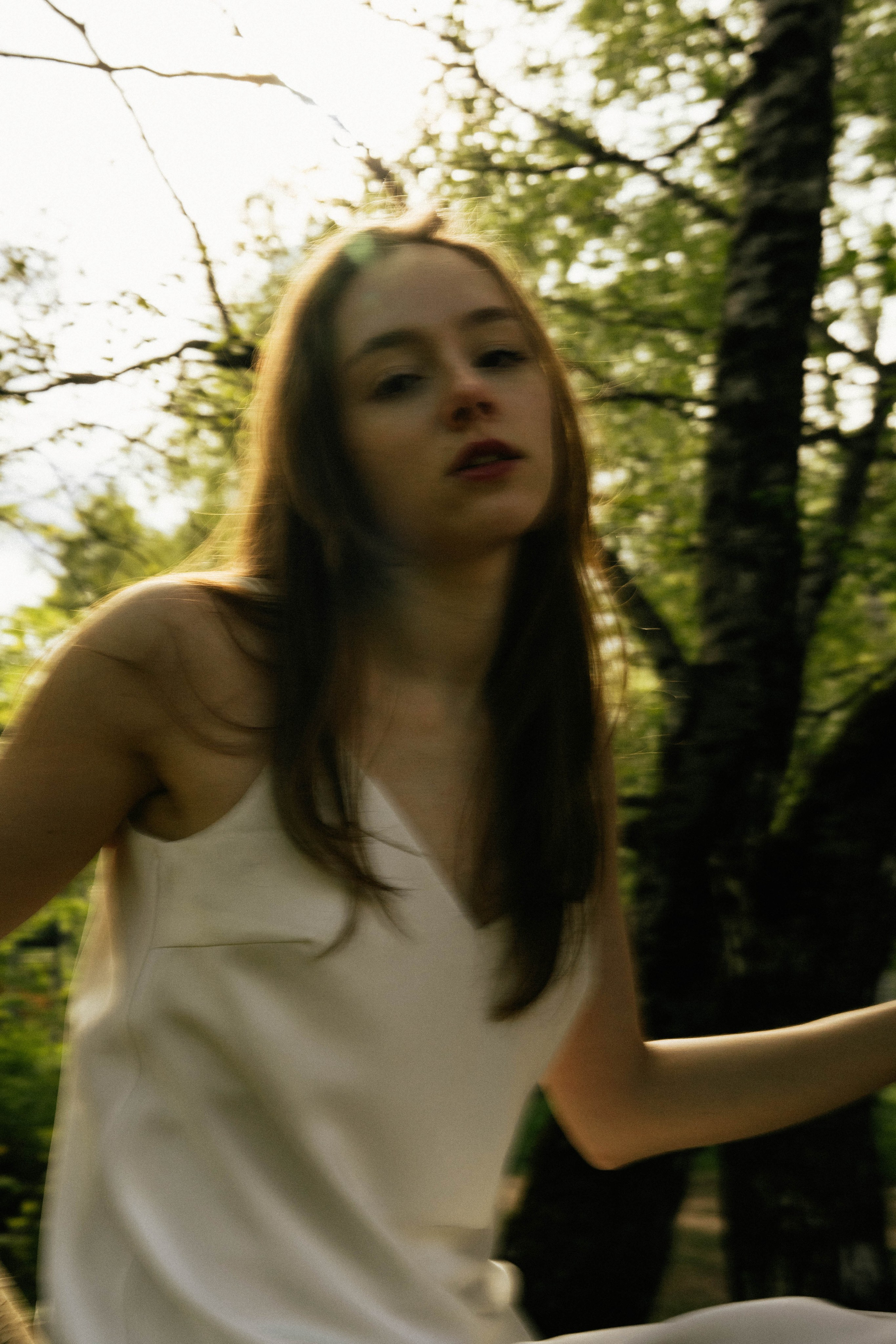 Галерея. Beardy Pix