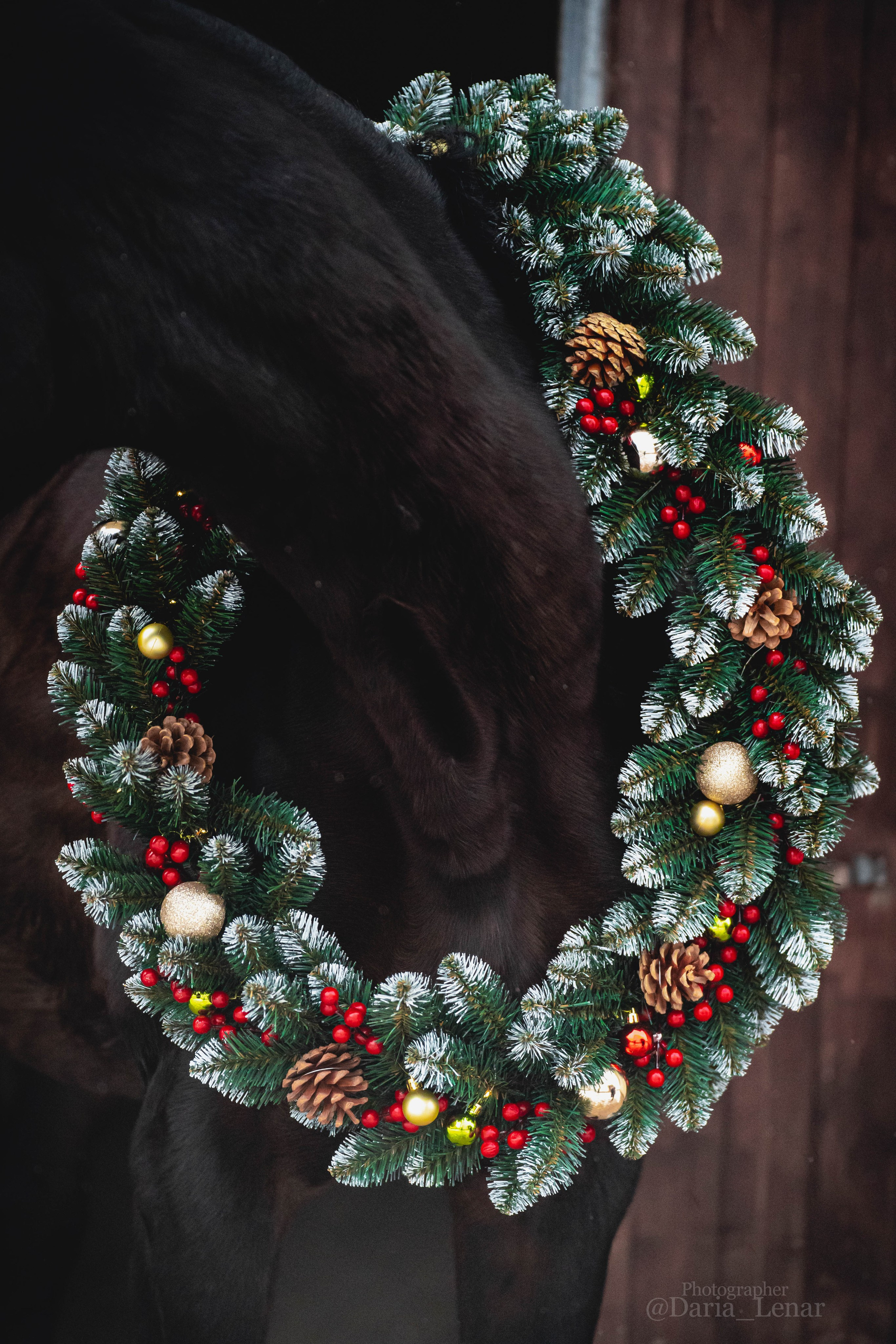 Новогодний венок. Фотограф в Москве Ленарская Дарья