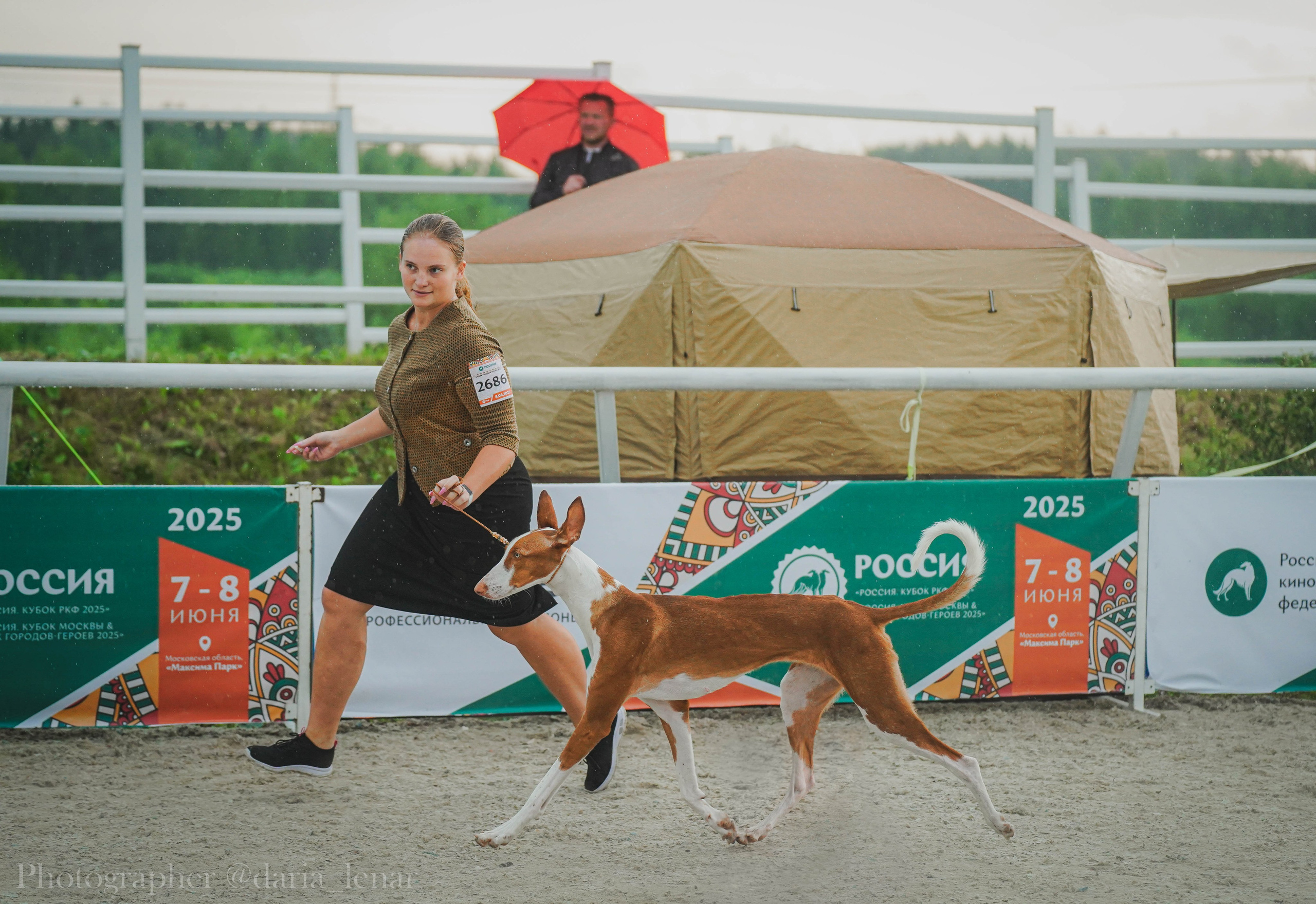 Выставки собак. Фотограф в Москве Ленарская Дарья