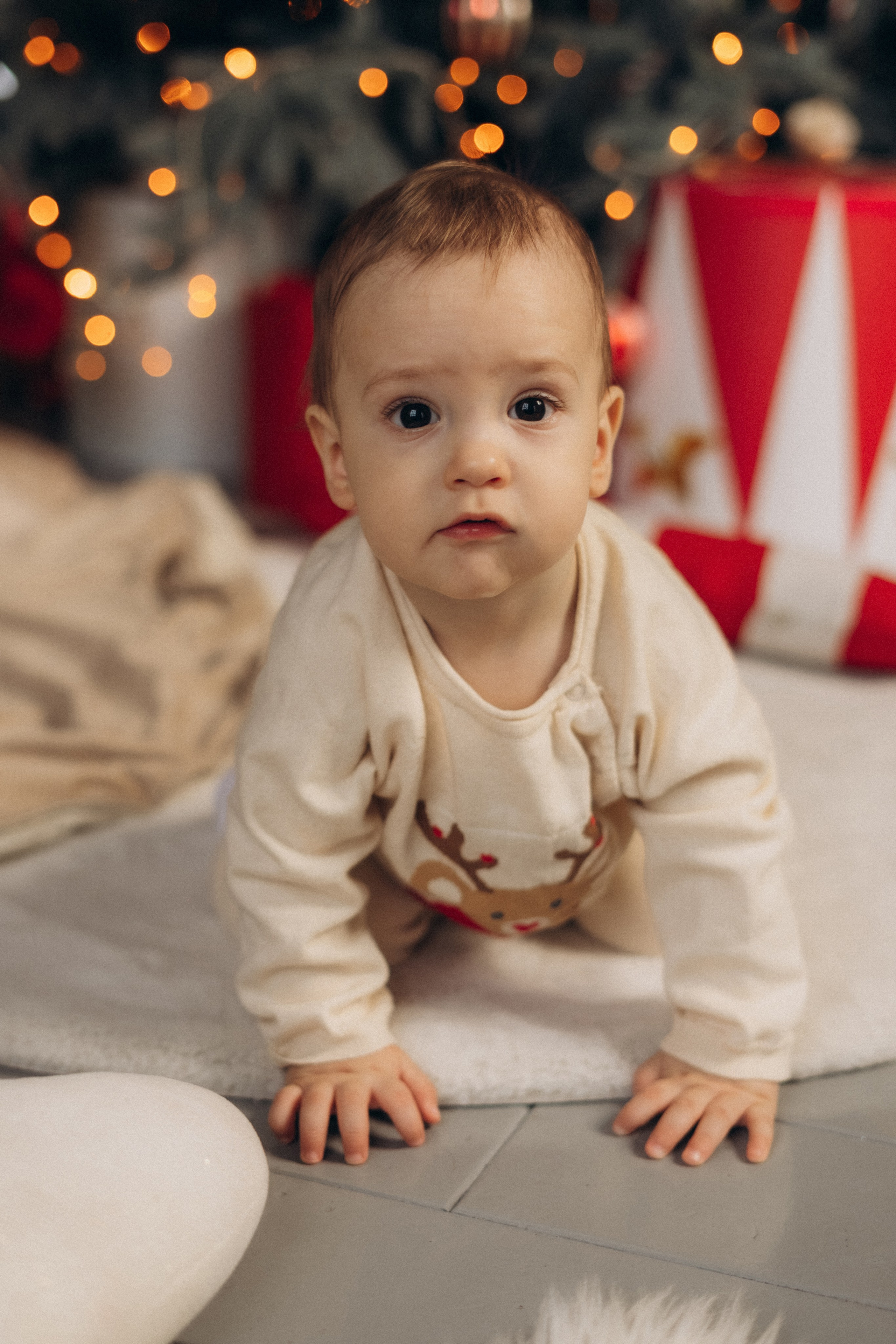 Семейная фотосессия. Фотограф Москва Виктория-Антуанетта